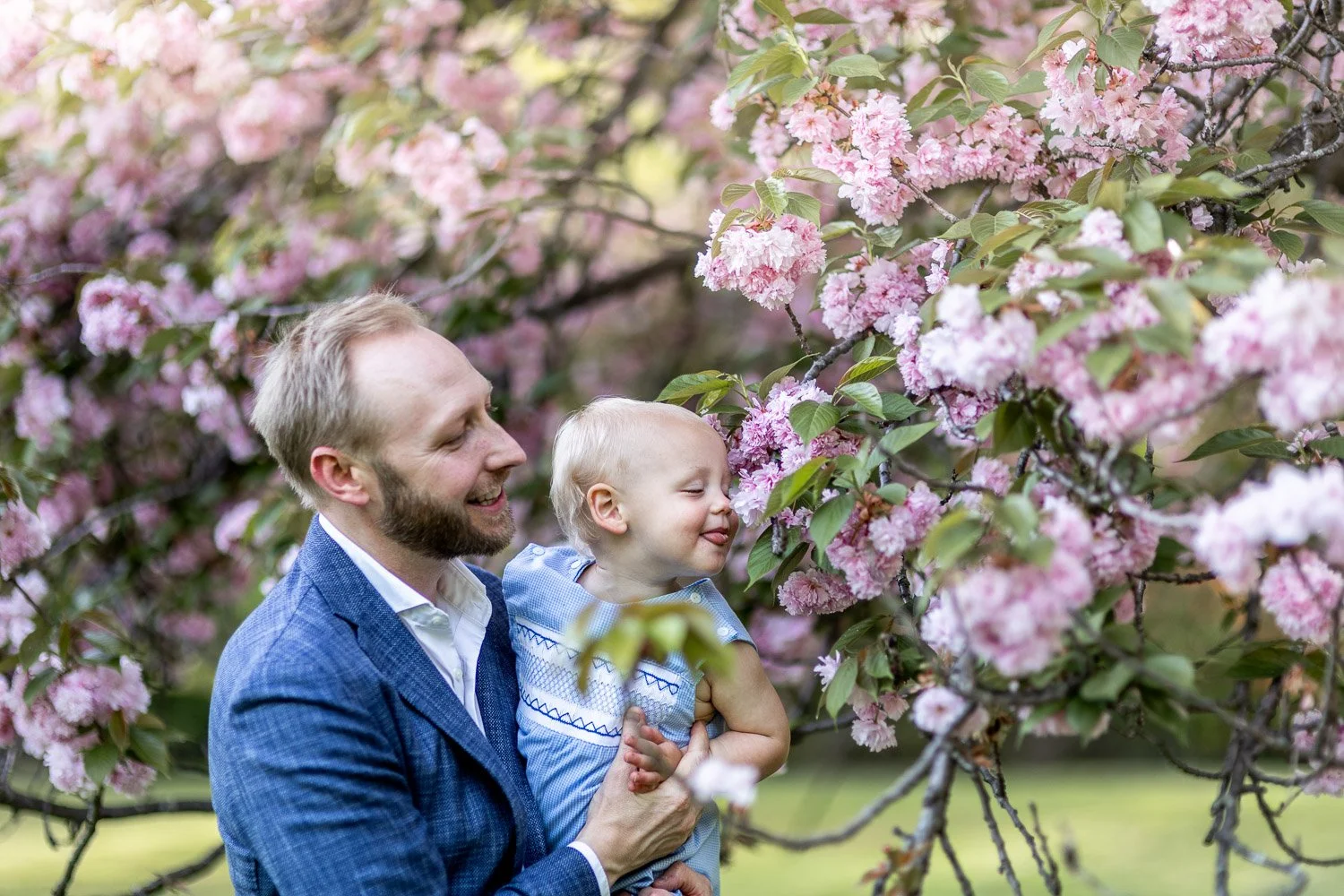A man with a beard and a boy with blonde hair smelling pink cherry blossoms on a tree.