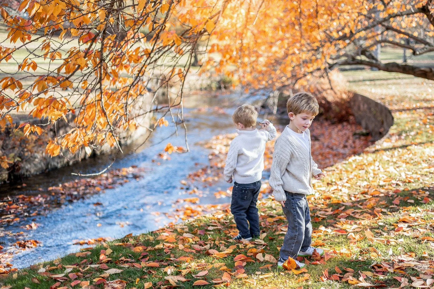 Two young boys in sweaters and jeans walking along a grassy area covered with fallen autumn leaves next to a small stream, with orange and yellow trees in the background.