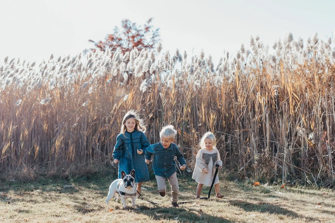 Three children and a dog enjoying a walk outdoors during fall, with tall, dry grasses and trees in the background.
