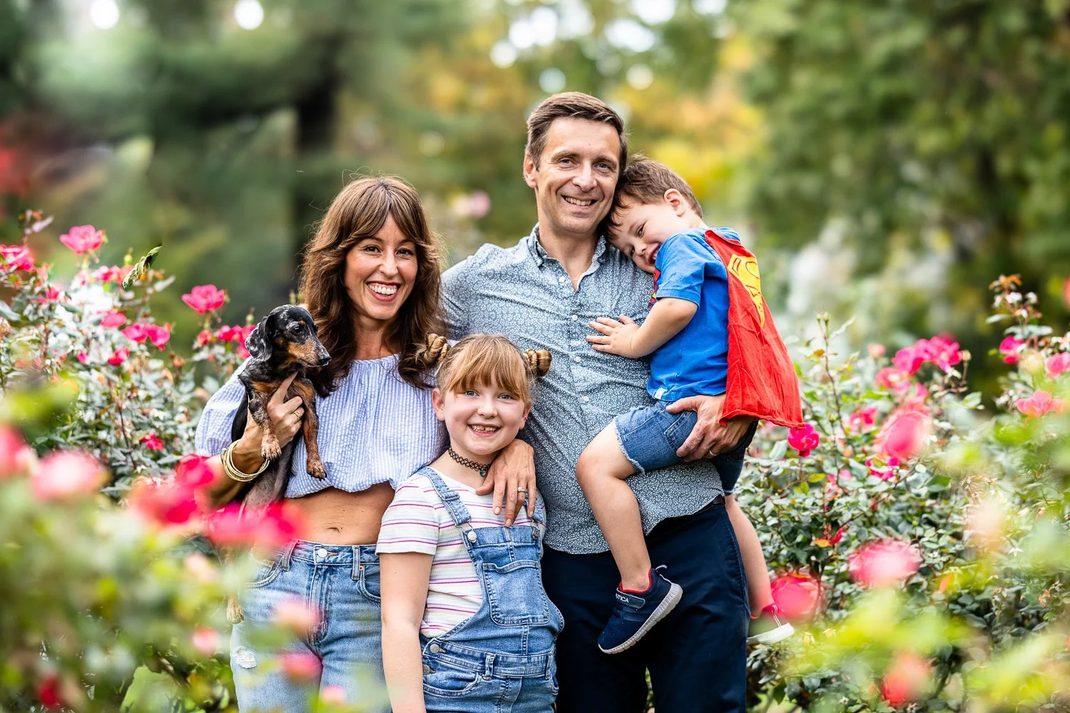 A happy family of four with a dog in a garden of pink and white roses, with trees in the background. The mother holds a small black and tan dog, the father is holding a young boy wearing a Superman cape, and a young girl stands in front of them smili