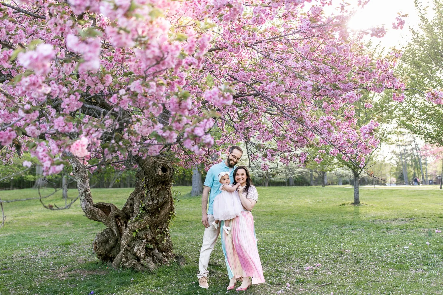 A family of three standing under a large pink blooming tree in a park during spring, with the father, mother, and baby girl smiling at the camera.