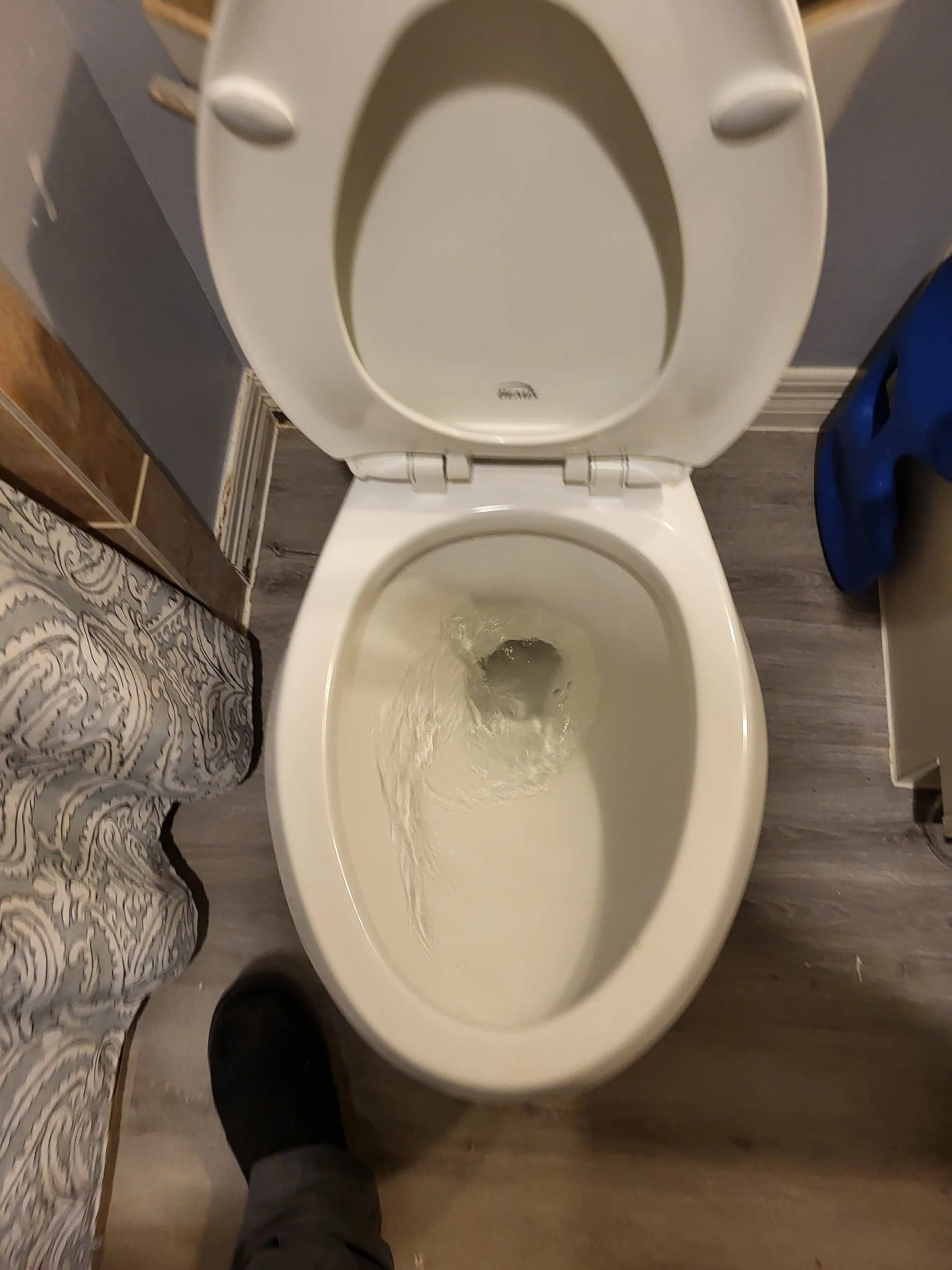 Resized_20260330_134645.jpeg