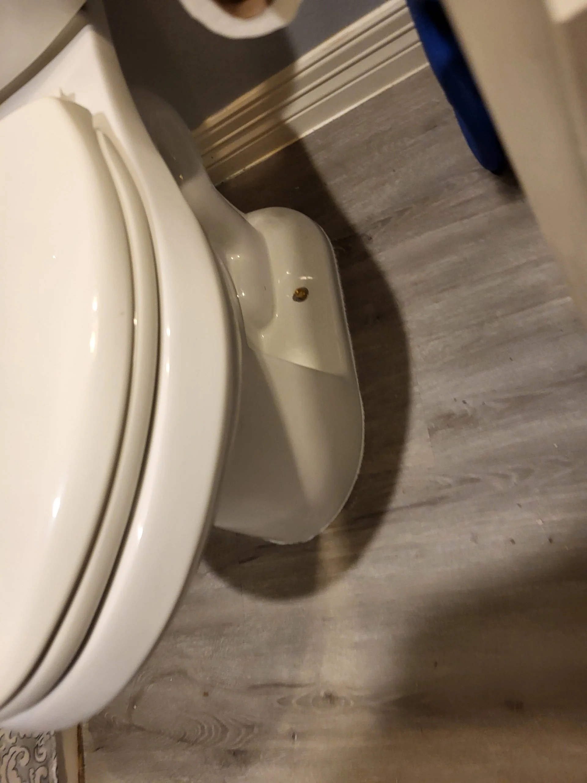 Resized_20260330_134635.jpeg