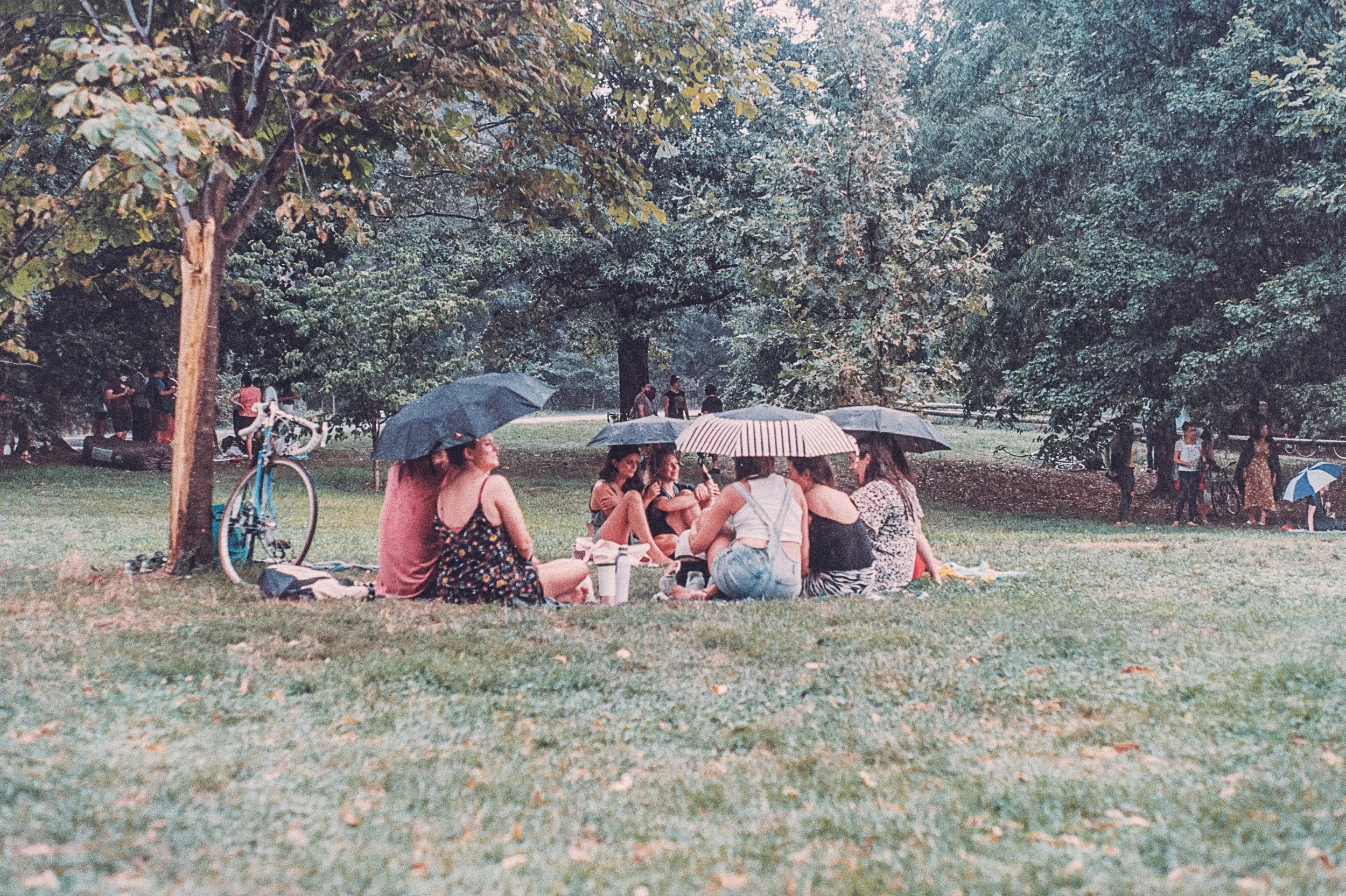 A group of people sitting on the grass under umbrellas in a park with trees, more people, and bicycles in the background.