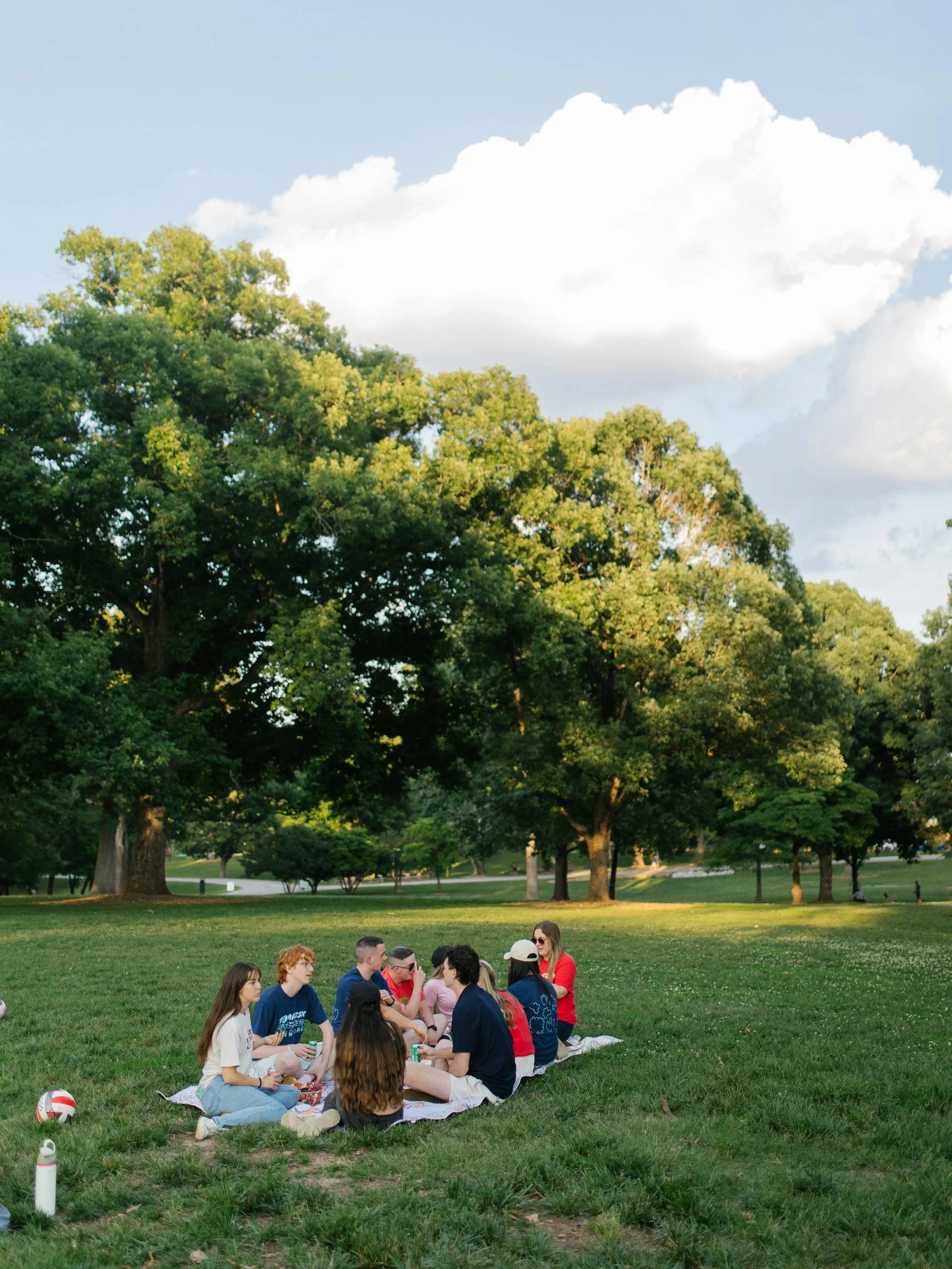 Group of young people sitting on a blanket in a park, engaged in conversation, with trees and a partly cloudy sky in the background.