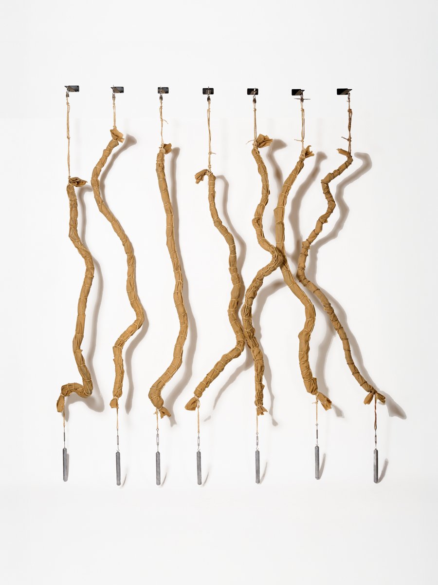 Installation View (2026) Mountain Laurel, canvas, jute rope and lead weights