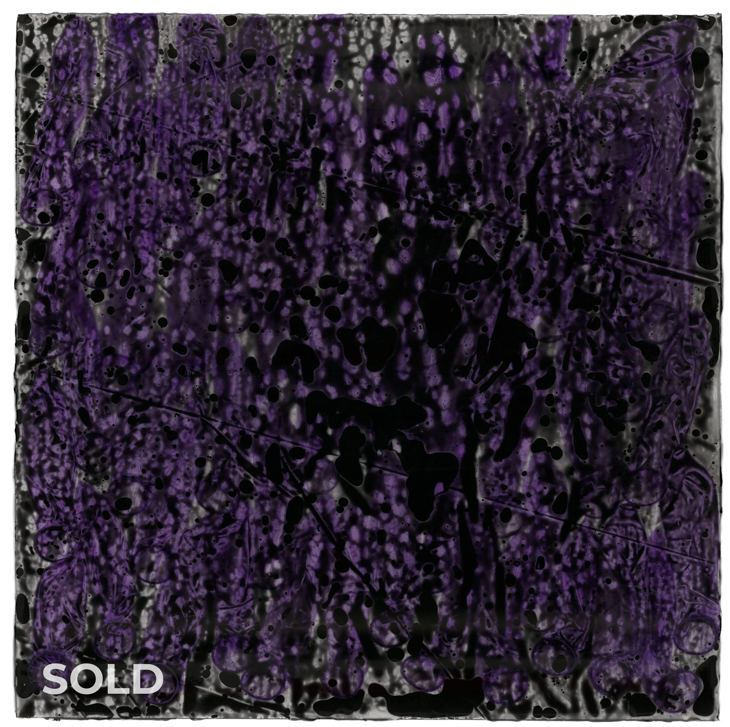 Purple Swimmer (2026) 24" x 24" Colored condoms in tinted epoxy