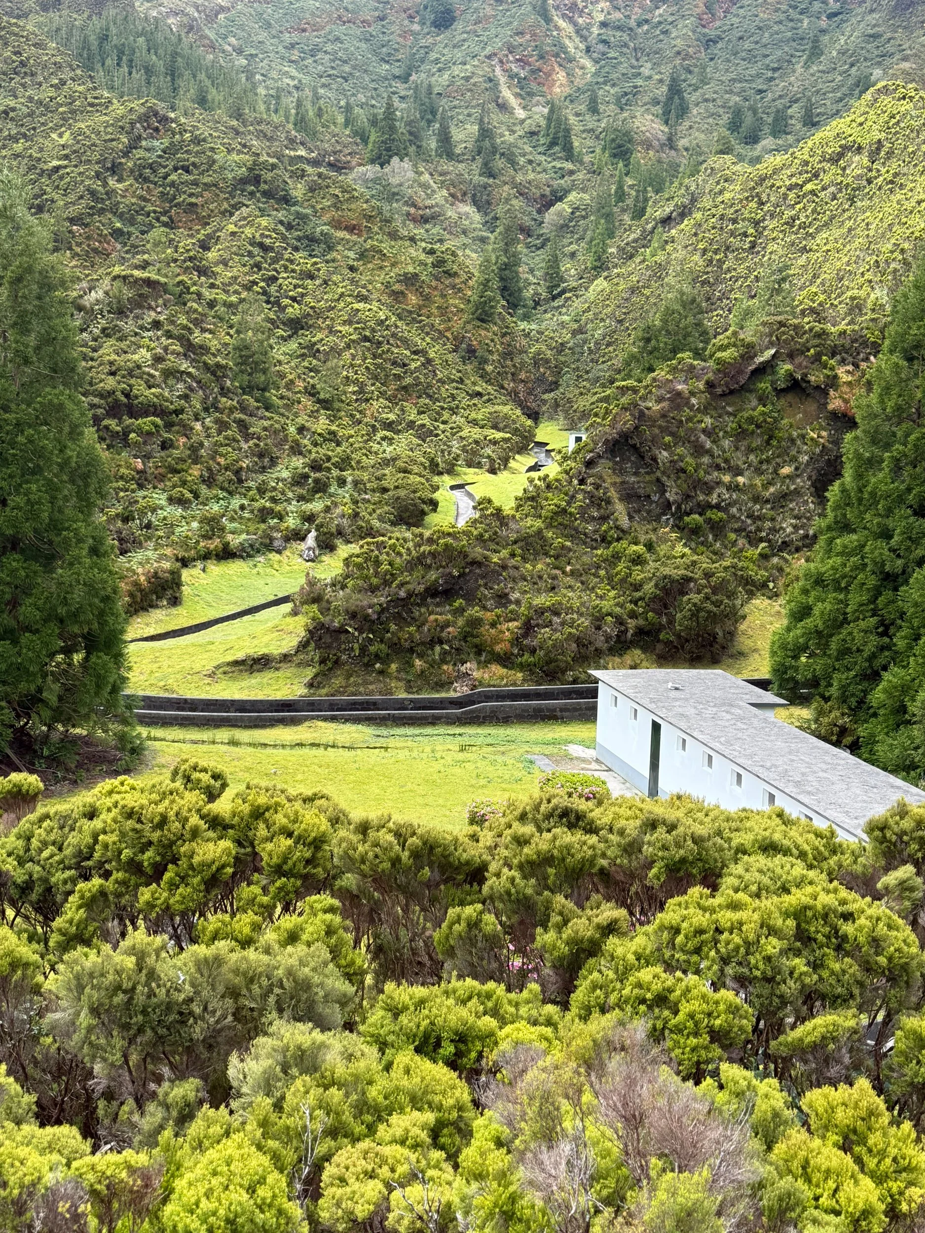 Little White Houses in Azores