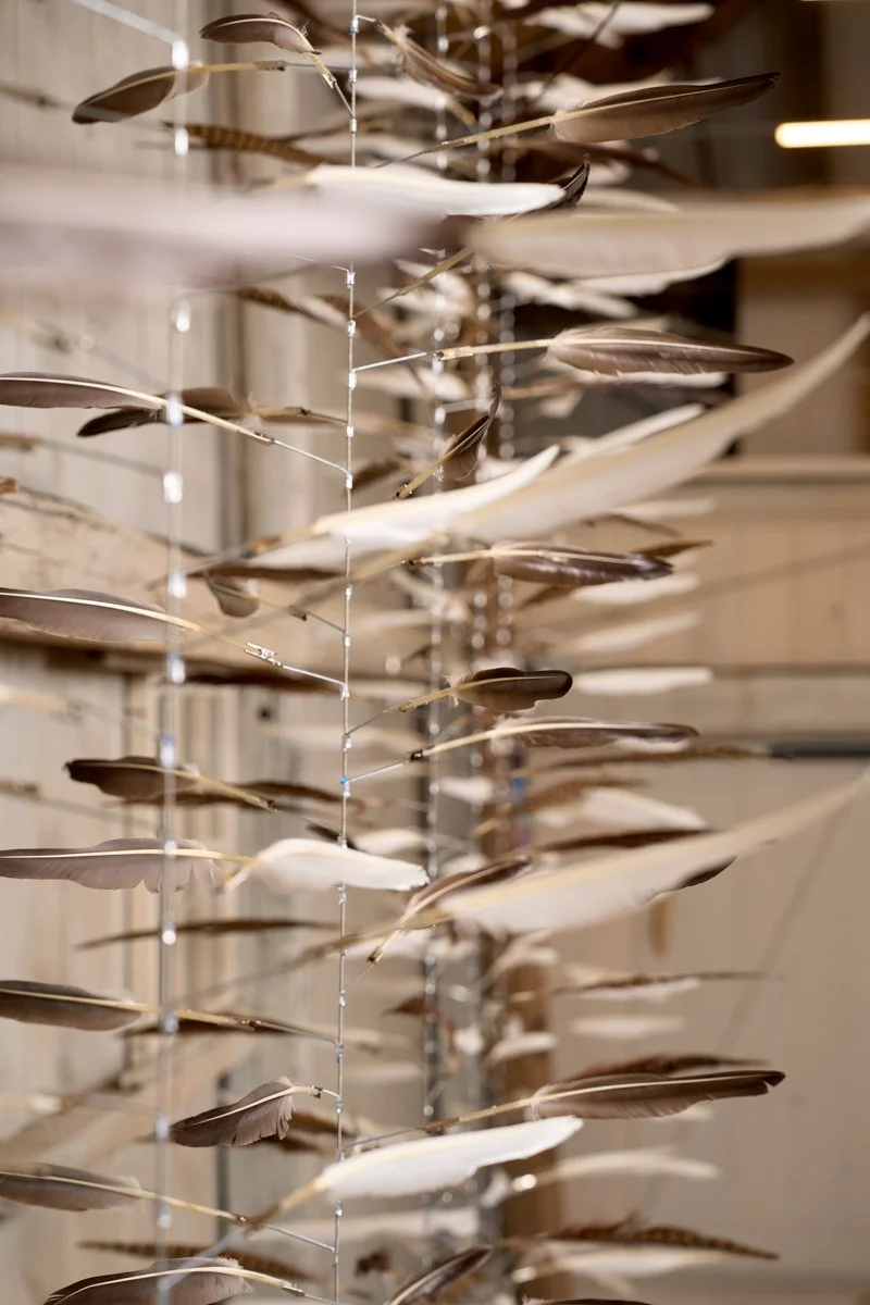 (2025) Feathers, stainless steel wire and lead weights 