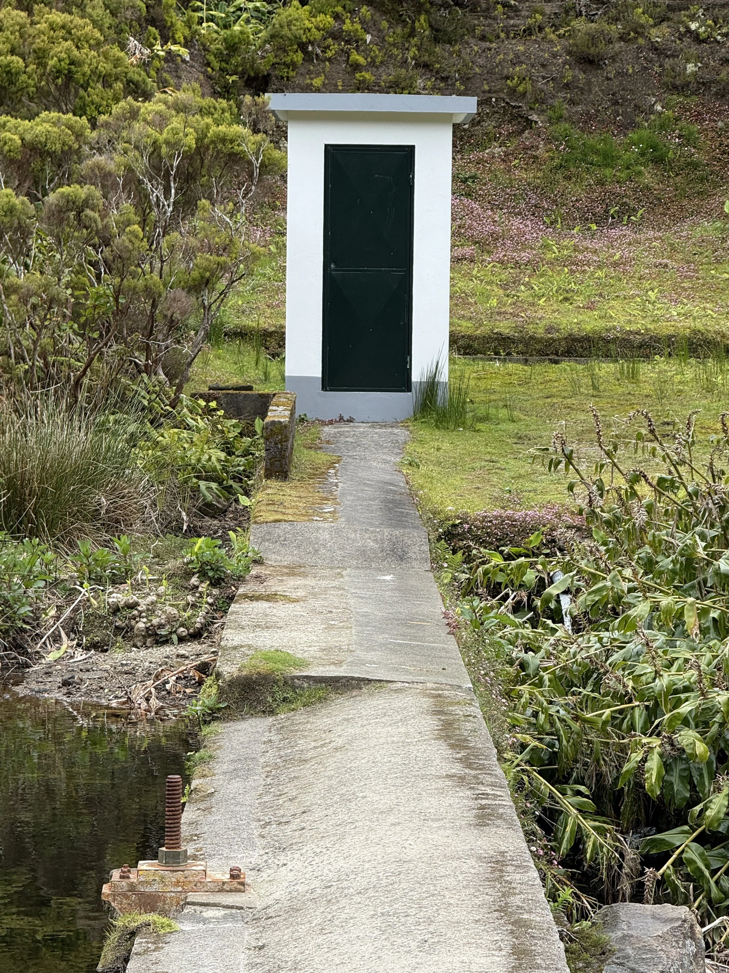 White House 5 (2026) 8" x 10" InkJet Print on Archival Paper, Edition of 5