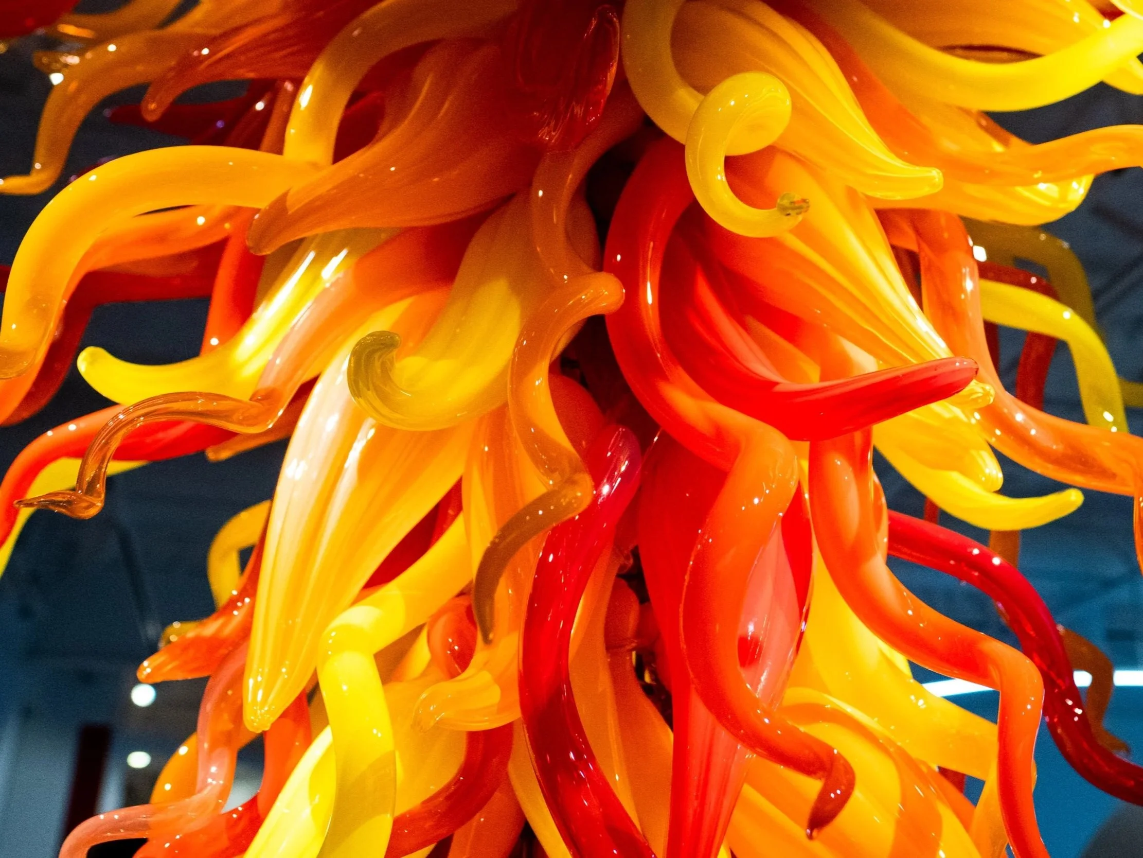 Close-up of colorful glass sculpture with twisted yellow, orange, and red glass tendrils.