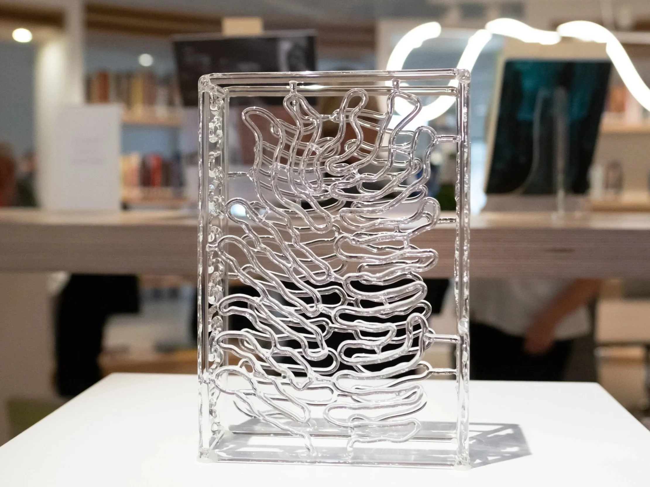 A transparent acrylic or plastic sculpture with intertwined, abstract, snake-like shapes, placed on a white surface in a modern indoor space with blurred background shelves and signage.