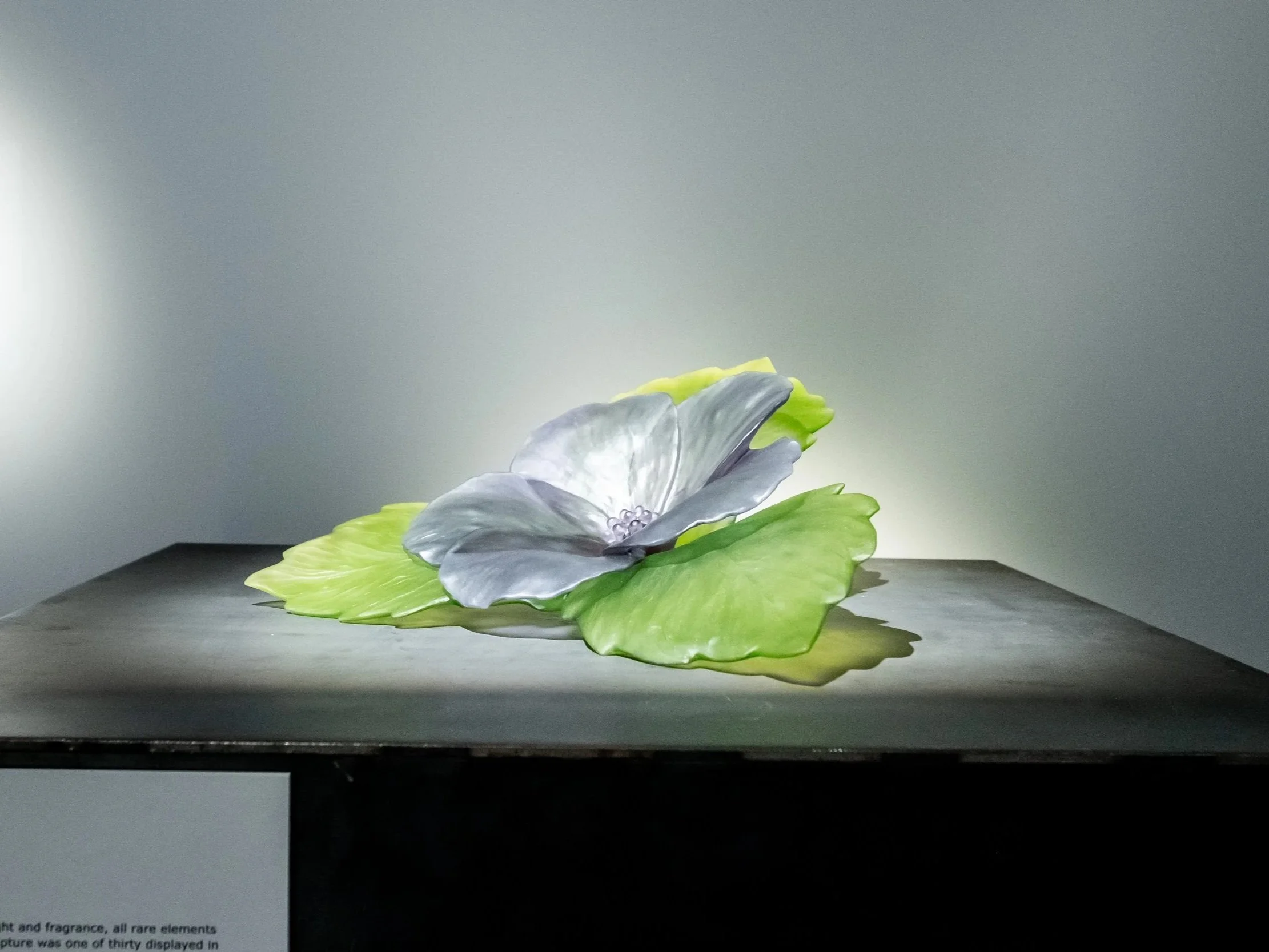 A metallic gray flower sculpture resting on large green leaves with a neutral background.