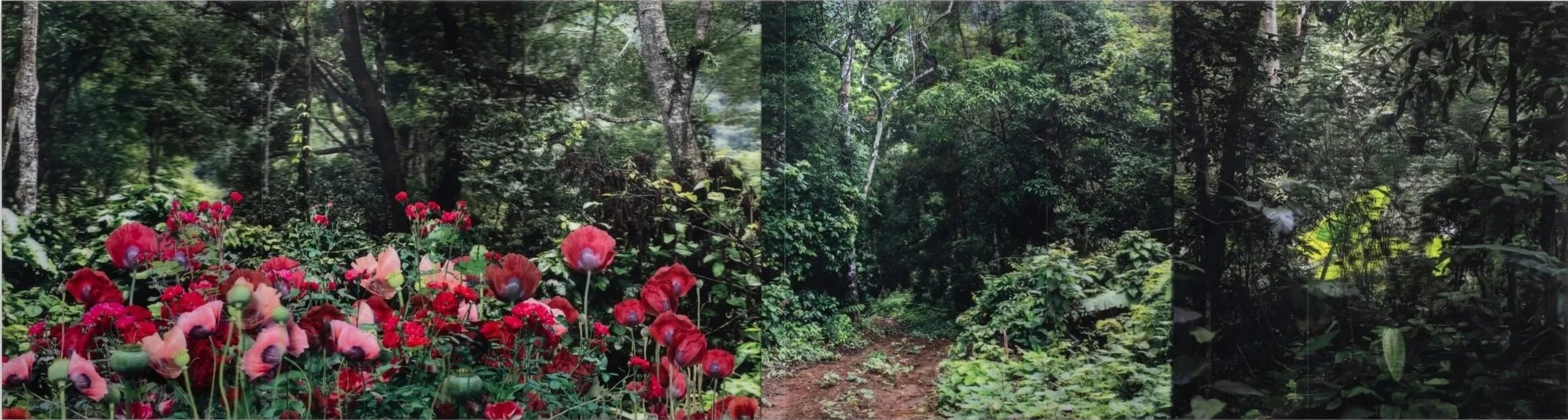 Lenticular print of a greenery, to the left are red and pink flowers, at the center is a dirt path leading towards trees, on the right, more trees and plants.