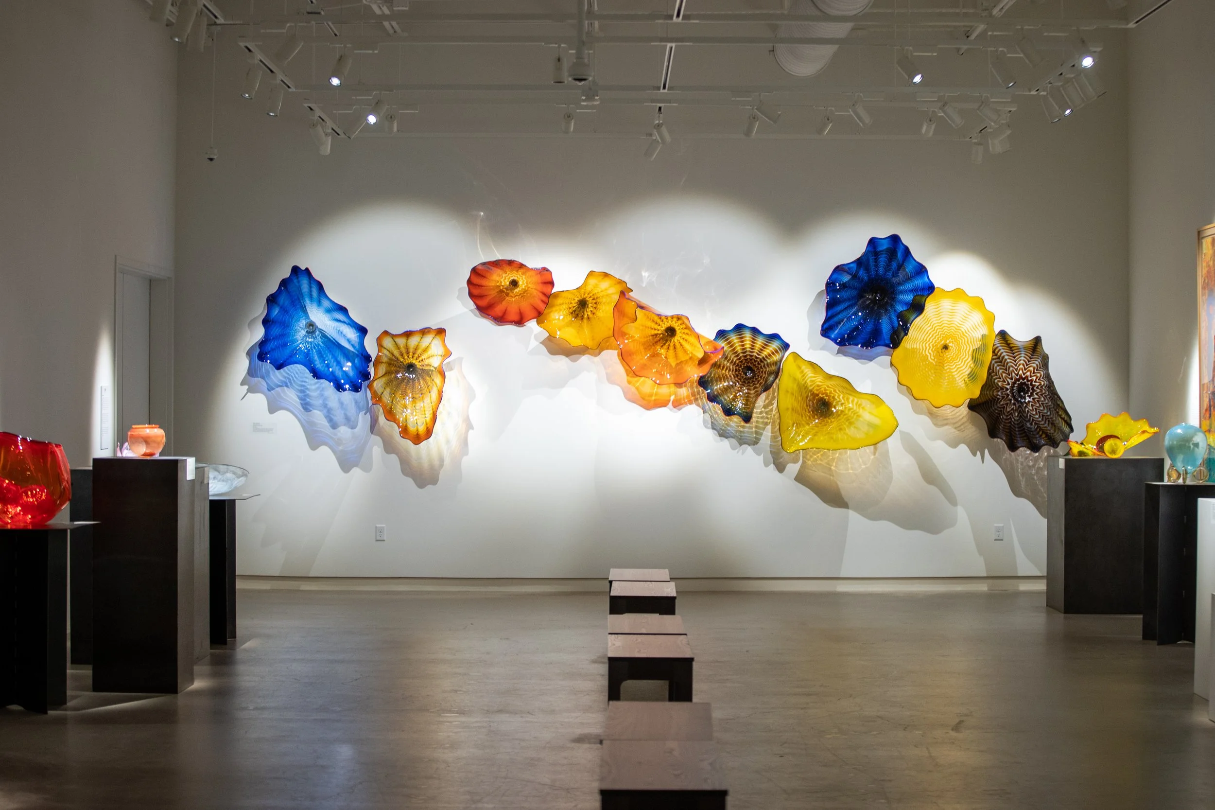 Colorful glass sculptures resembling flower petals are displayed on the wall in an art gallery, illuminated by spotlights.