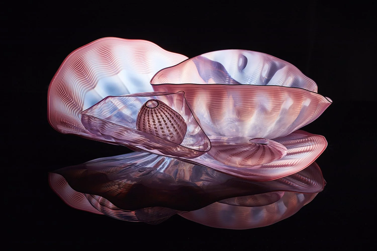 Dale Chihuly (American, born 1941).  Five-piece Seaform glass group , 1984. Optic-blown and hot-worked glass, assembled. 6 x 8 x 13.5 inches. Cafesjian Art Trust Museum, 2022.0388.1. © Chihuly Studio and 2026 Artists Rights Society (ARS), New York 