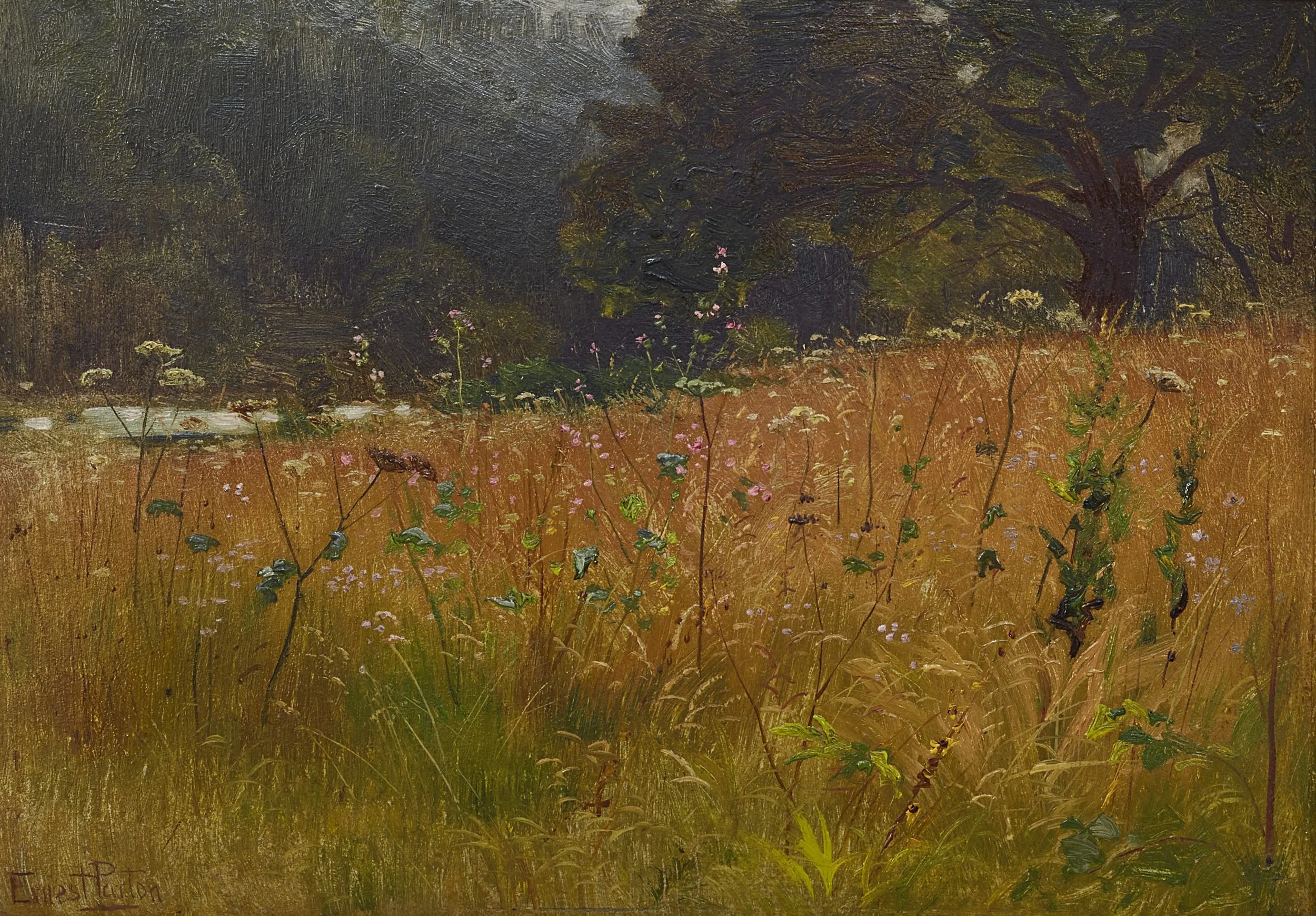 Landscape painting of yellow grasses and wildflowers.