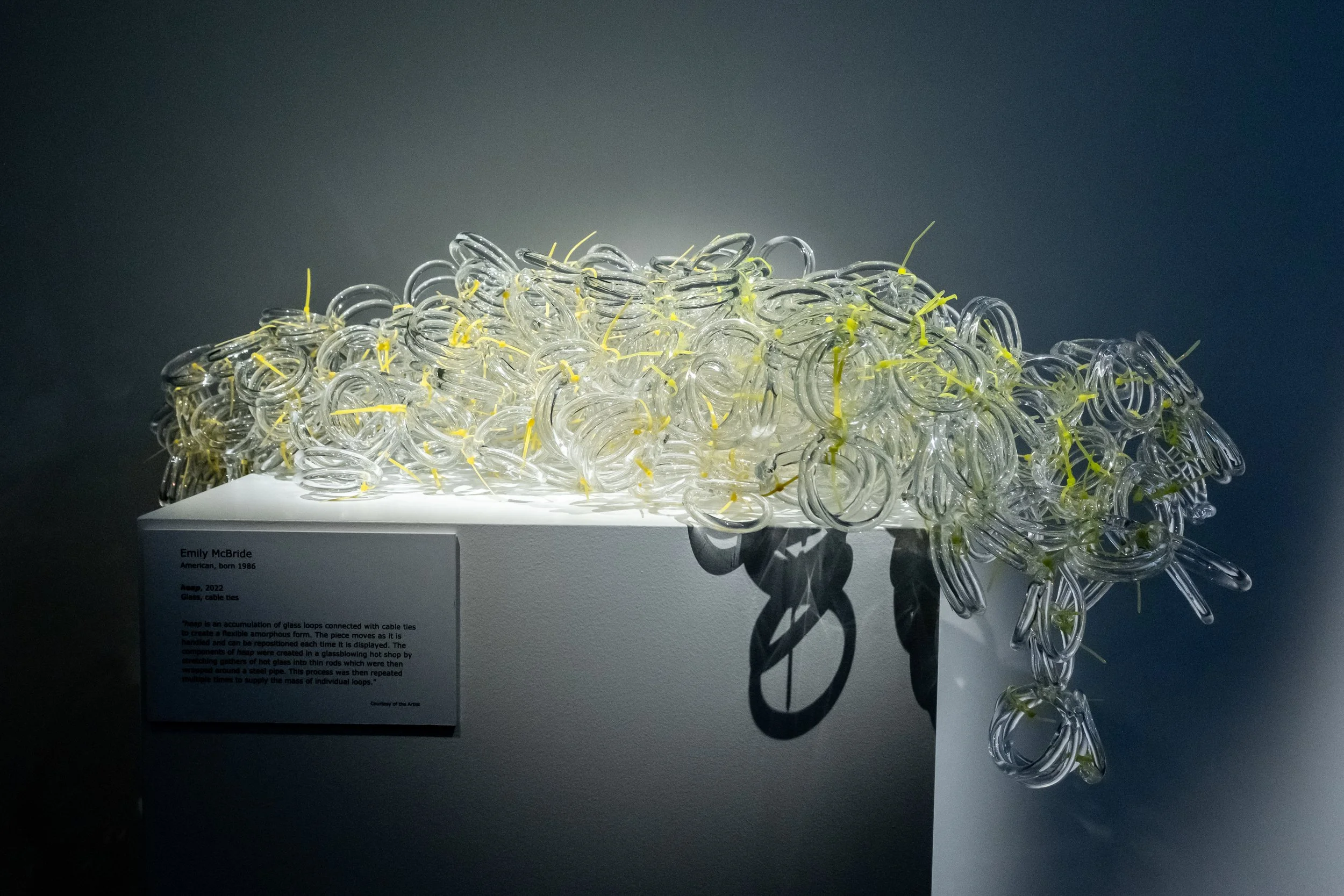 Emily McBride (American, born 1986).  heap , 2022. Glass, cable ties. Diameter of each ring, 2.5 inches. Courtesy of the artist. © Emily McBride 