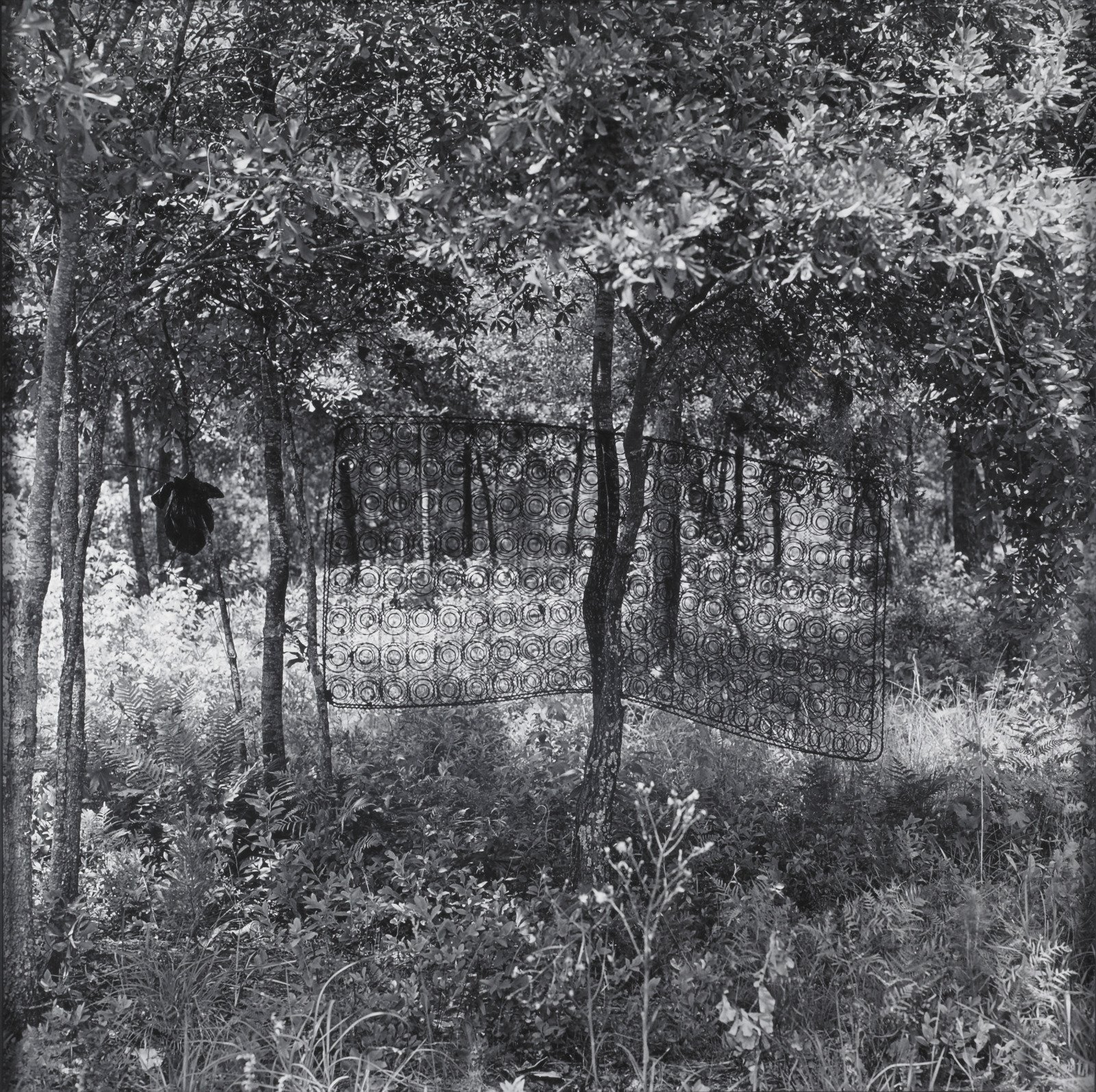 Carrie Mae Weems,  Untitled (Box Spring in Tree) , 1992, Gelatin silver print, Edition 7 of 10 + 2 APs, 20 3/4 x 20 3/4 x 11/2 inches. Courtesy the artist and Gladstone © Carrie Mae Weems