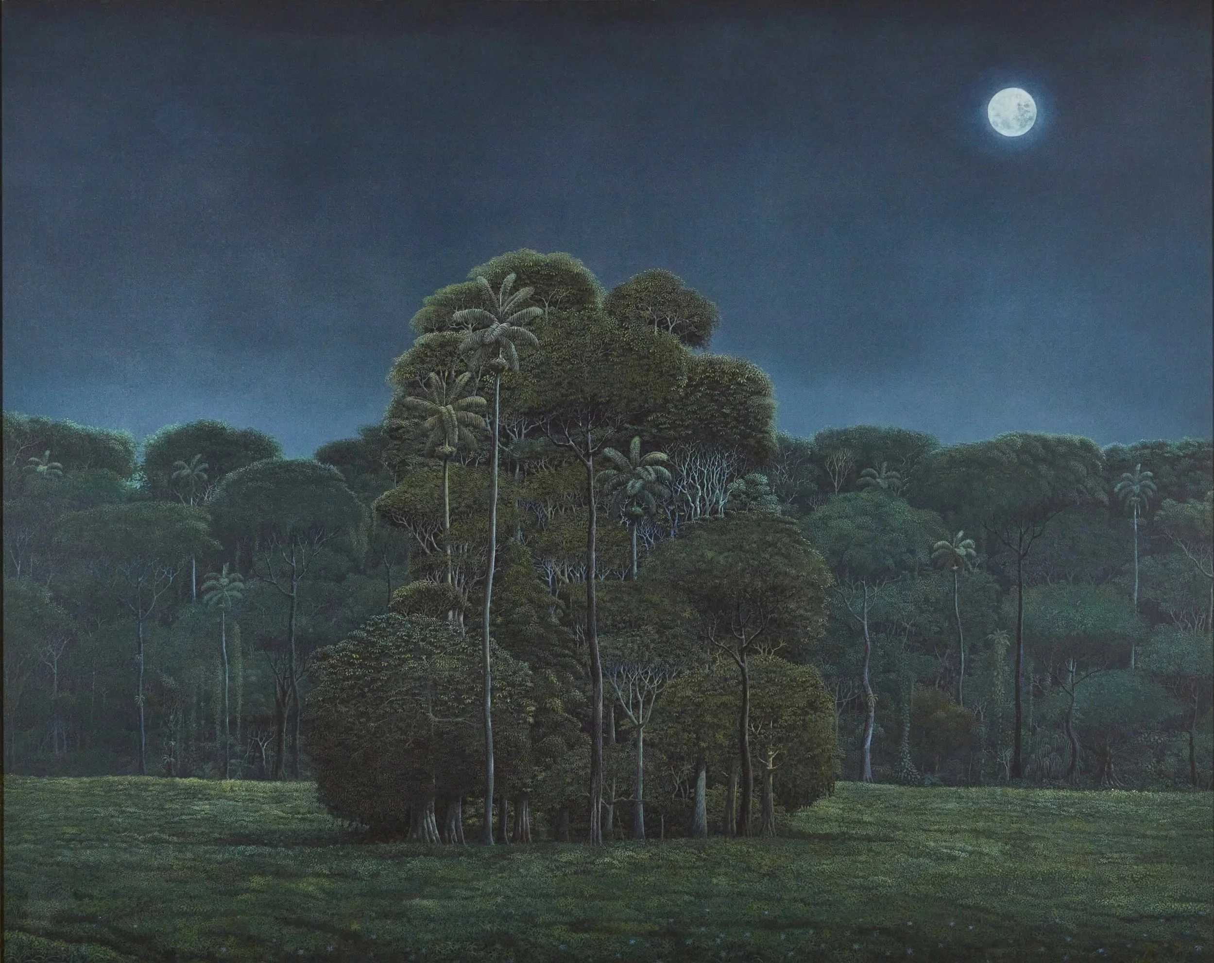 A landscape scene of dark green trees and grass under a night sky illuminated by a full moon.