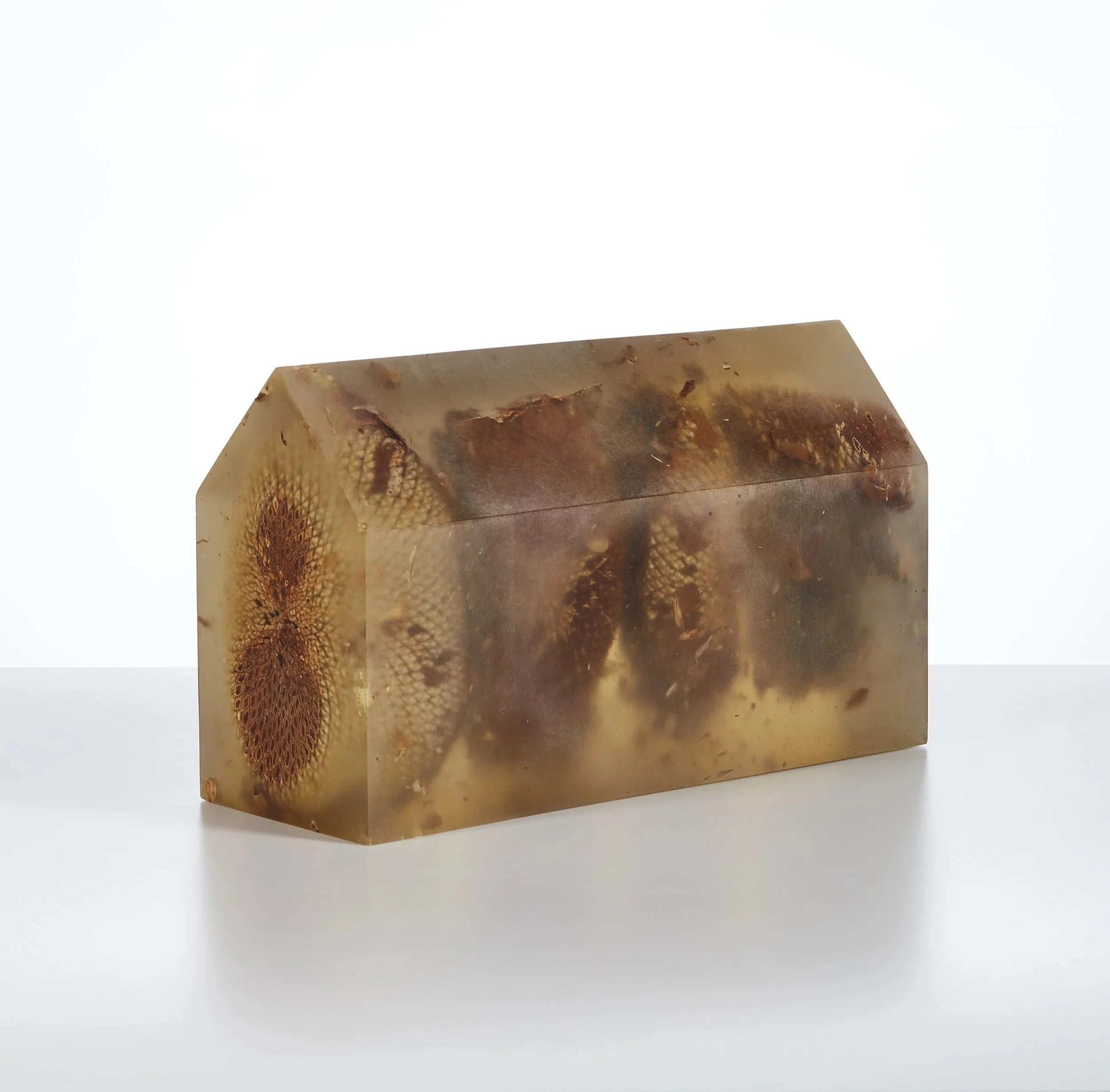 A rectangular block of translucent material, possibly resin or amber, with embedded natural elements such as plants or organisms, resting on a white surface.