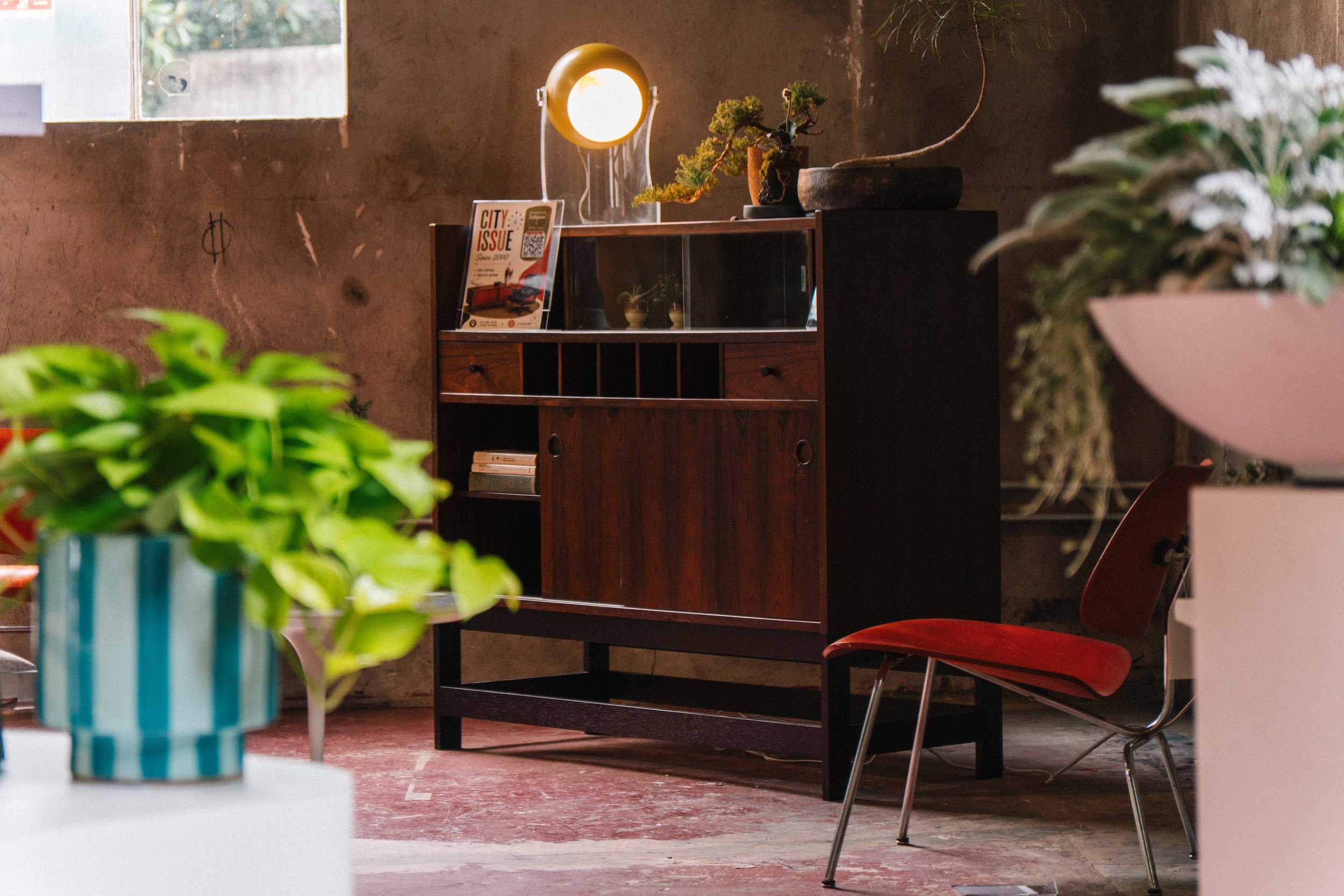 A vintage wooden cabinet with glass doors and small drawers, decorated with potted plants on top and a magazine, set against a textured wall with a small window to the left. In the foreground, a colorful potted plant with green leaves is visible.