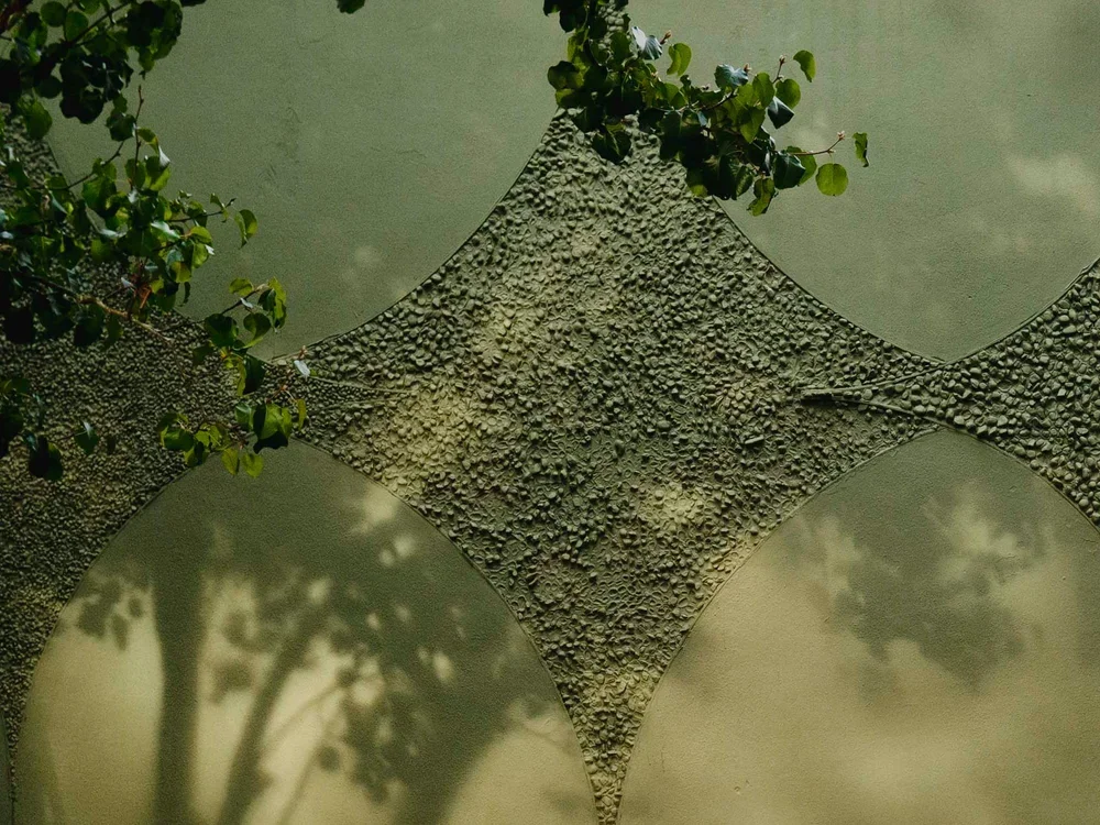 Wall textures at Elizabeth & Edgewood.jpg.webp