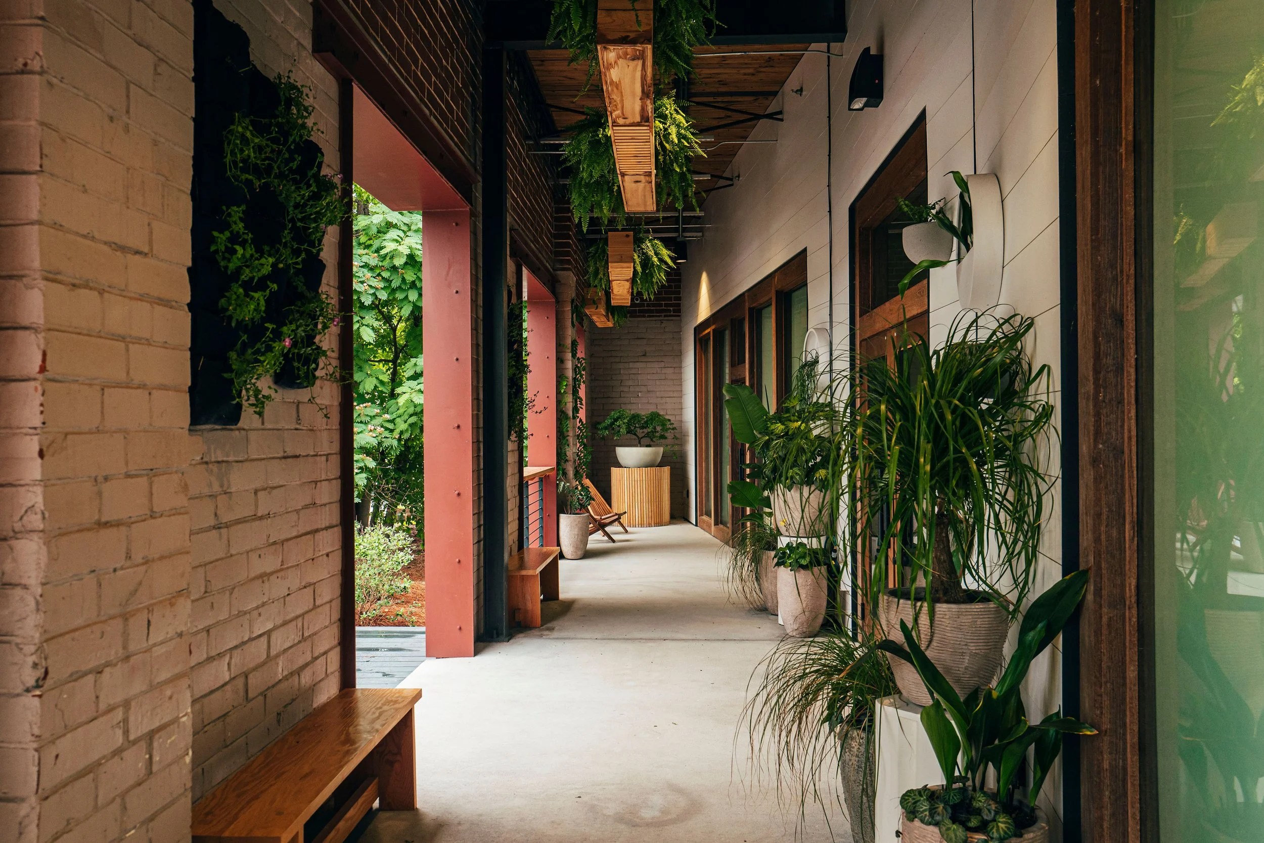 A hallway with large potted plants on the right, wooden wall decorations, and a bench on the left. There are large windows and greenery visible outside.