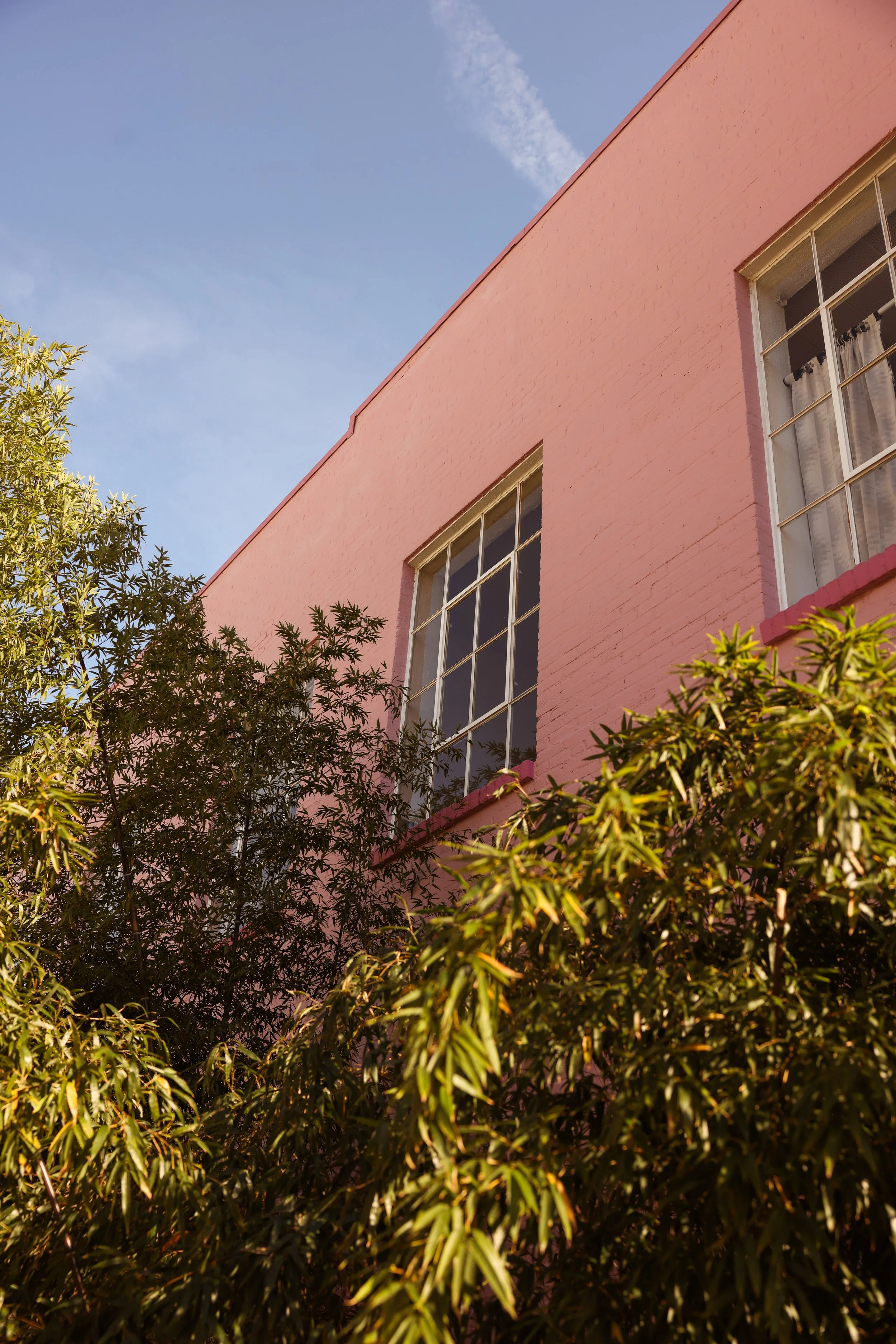 Pink building with large windows, partially obscured by green leafy trees against a blue sky with a few wispy clouds.