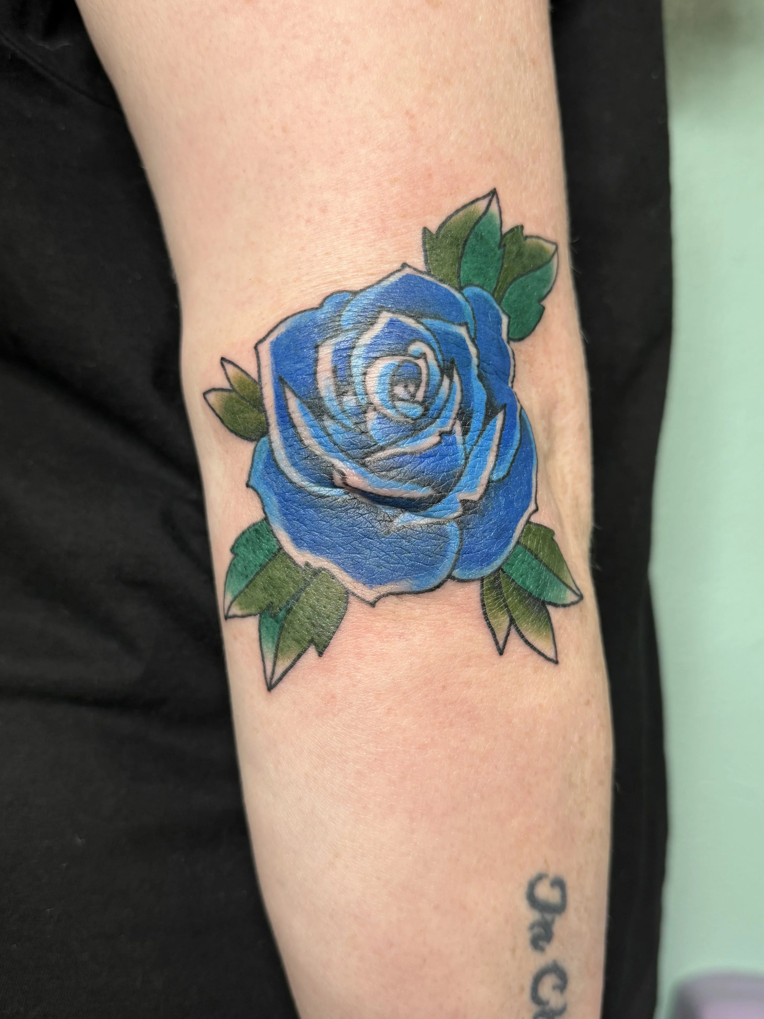 blue rose.jpg