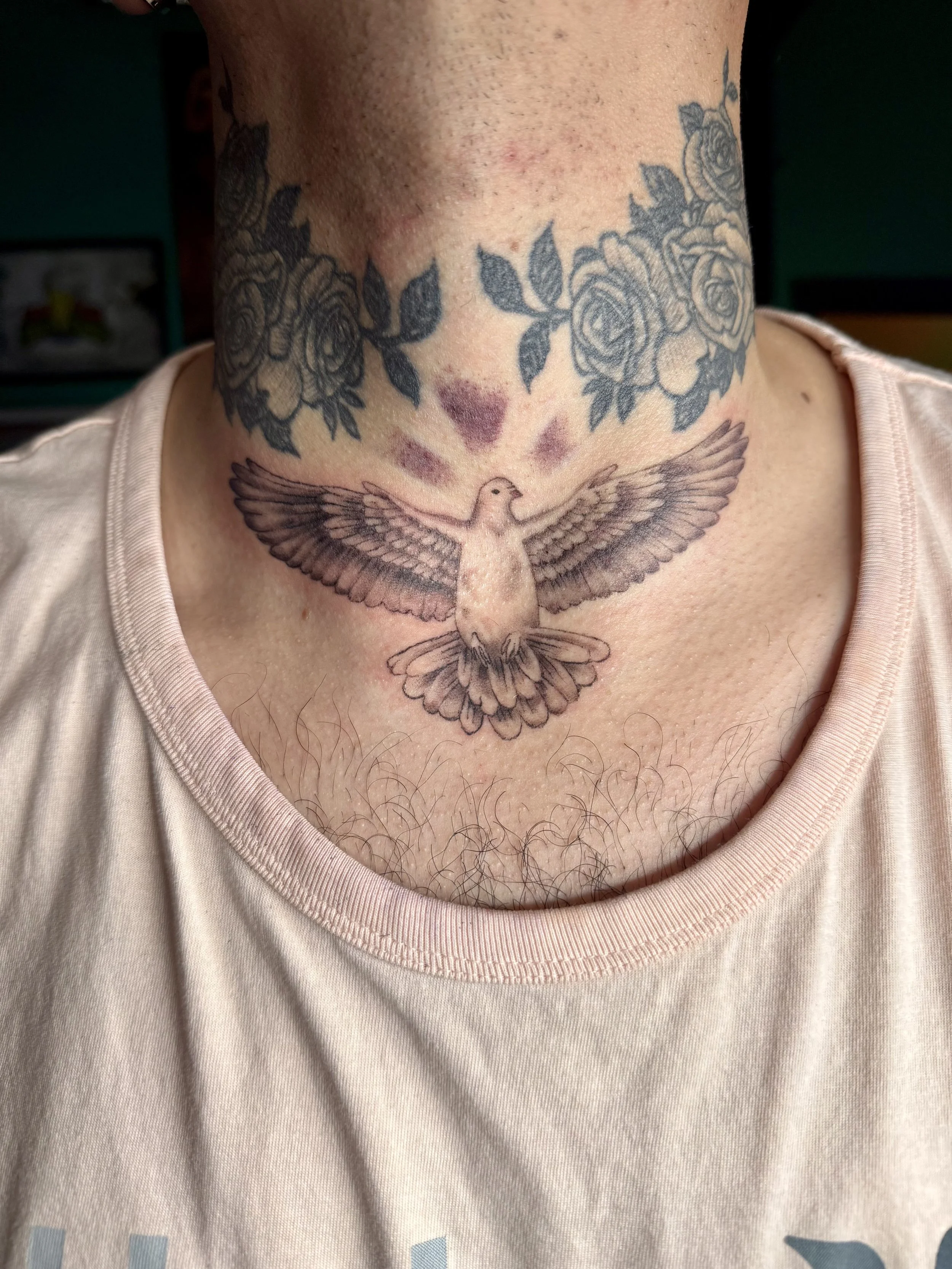 dove.jpg