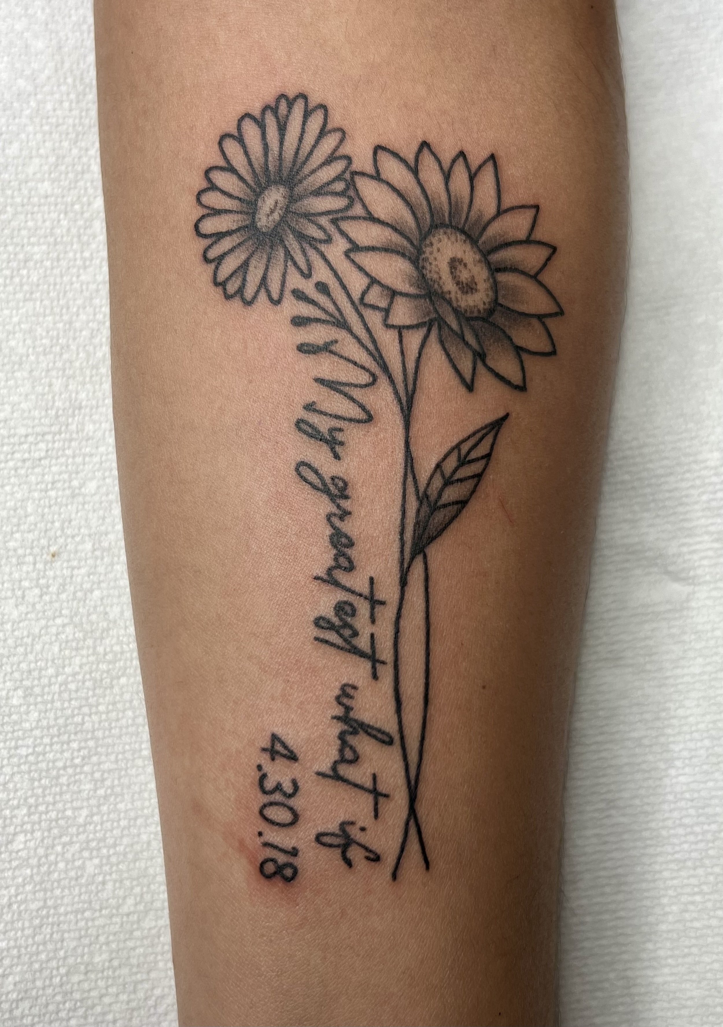 Sunflower what if.jpg