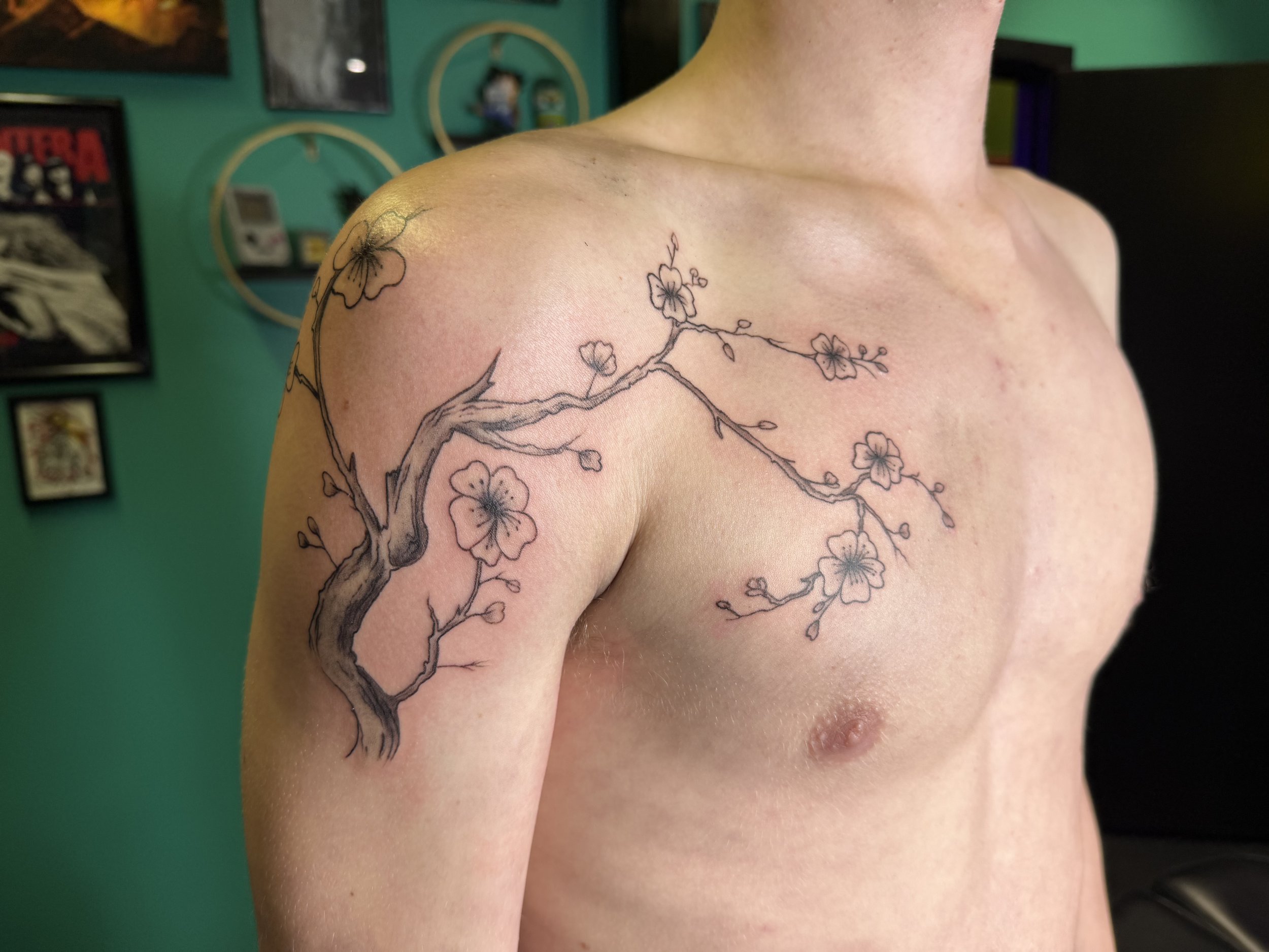 cherryblossom tree.jpg