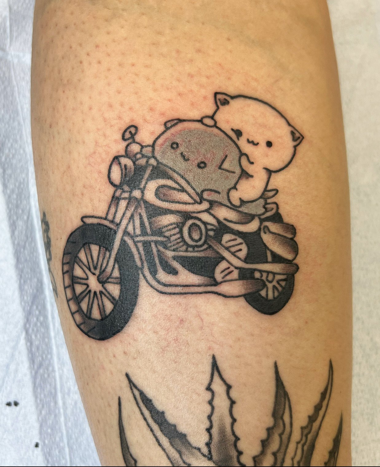 cute motorcycle.jpeg