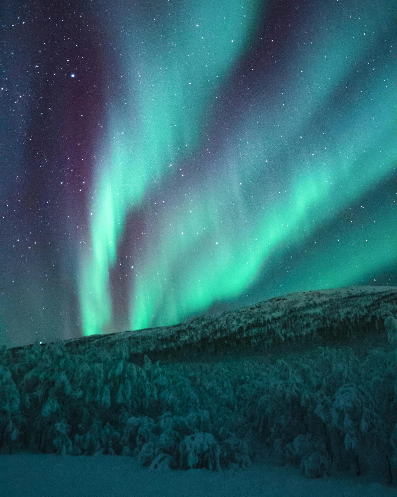 northern lights shine over canadian mountains