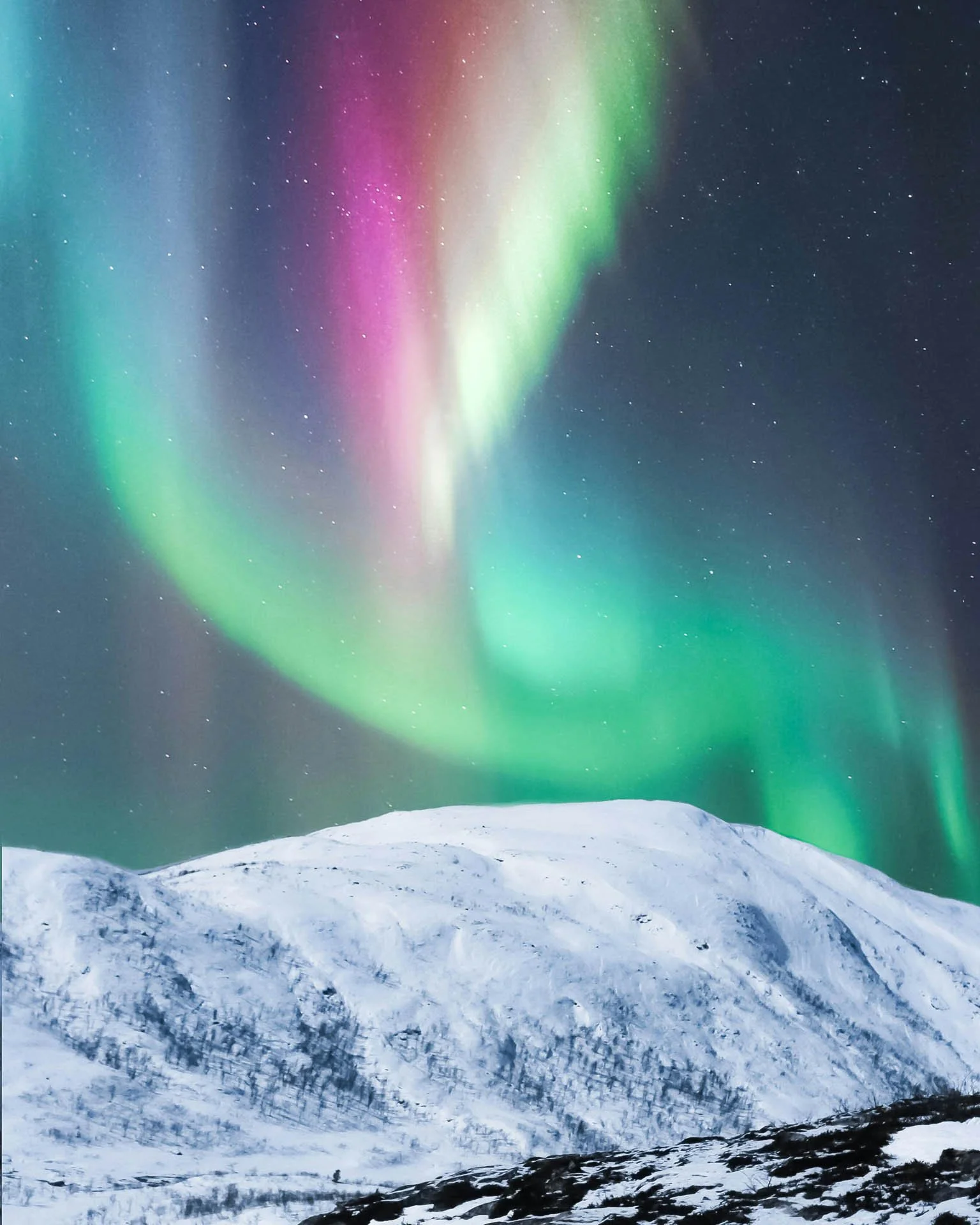 northern lights over canadian mountains