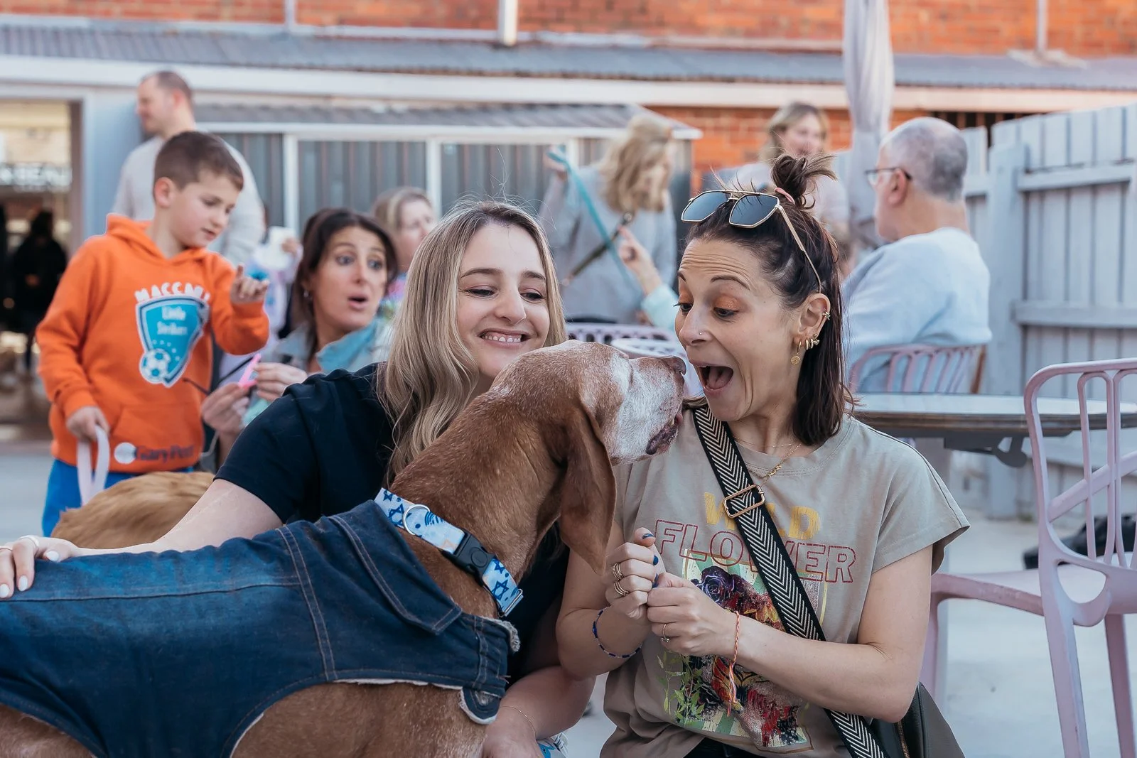 NOT FOR PROFIT VOLUNTEER-64.jpg