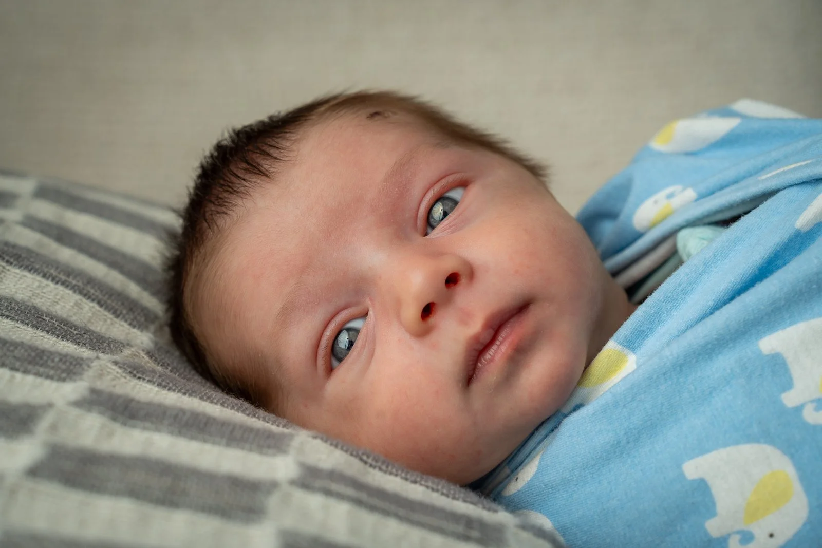 Family Birthday Baby-17.jpg