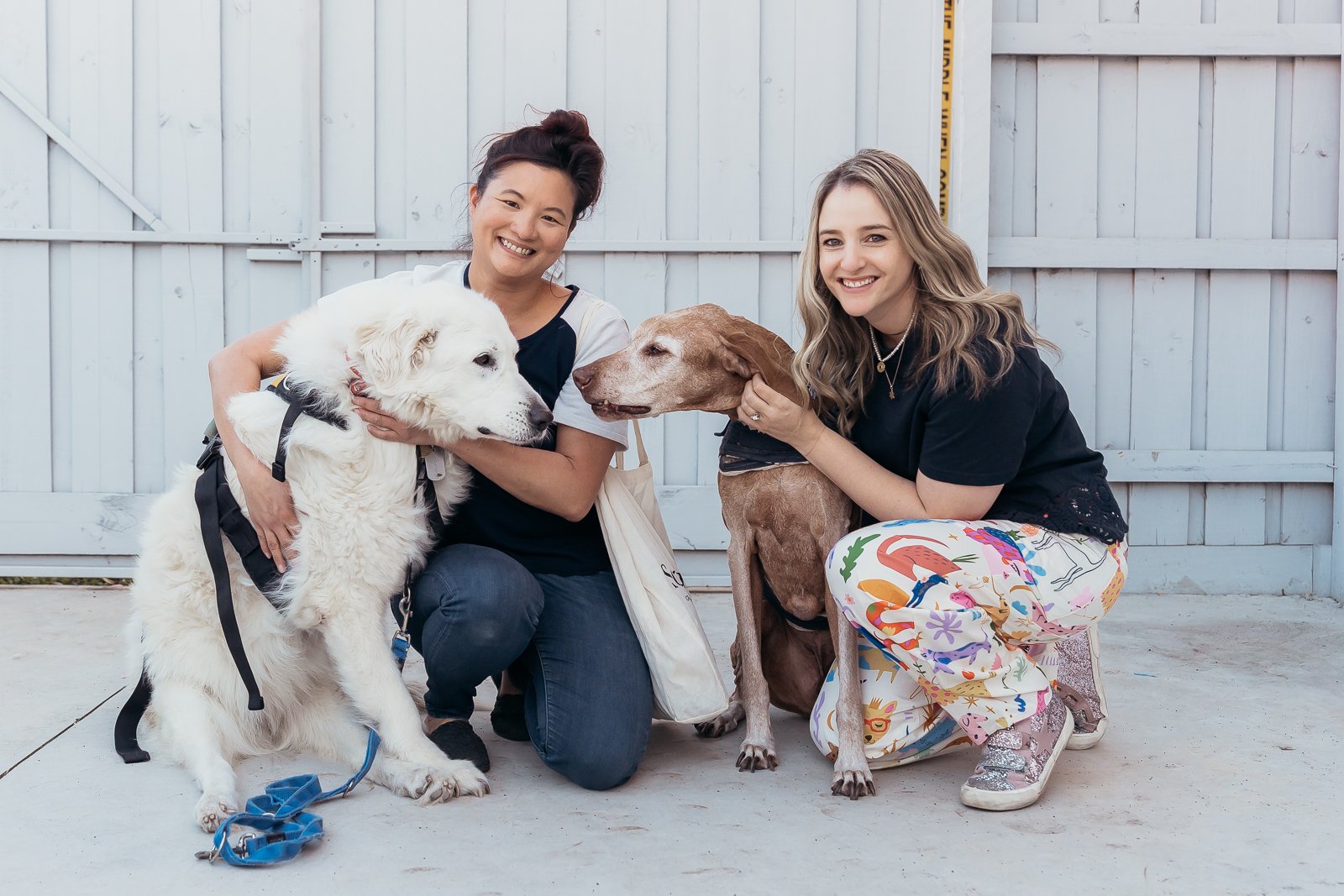 NOT FOR PROFIT VOLUNTEER-63.jpg