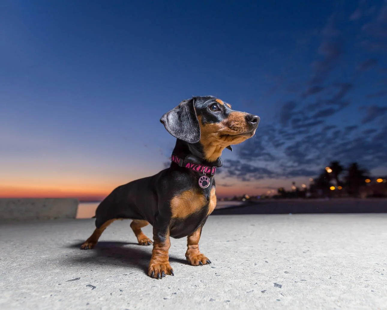 IMG_7601-Edit.jpg