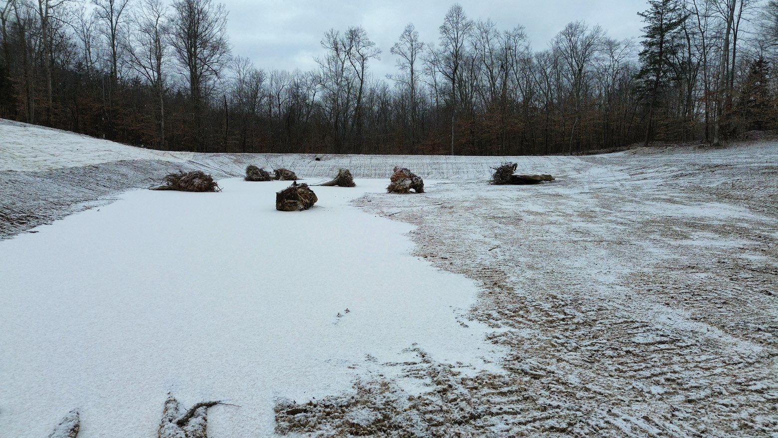 After Pond Clearing. Photo taken inside the pond.