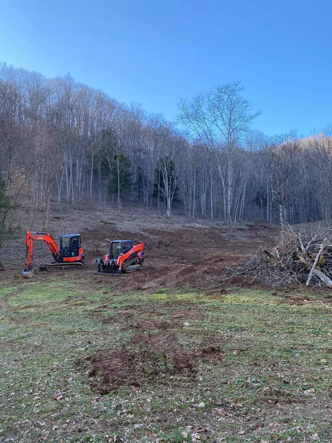 A landscape showing a cleared area with two small excavators and a pile of logs at the edge, forest and mountains in the background, under a clear blue sky.