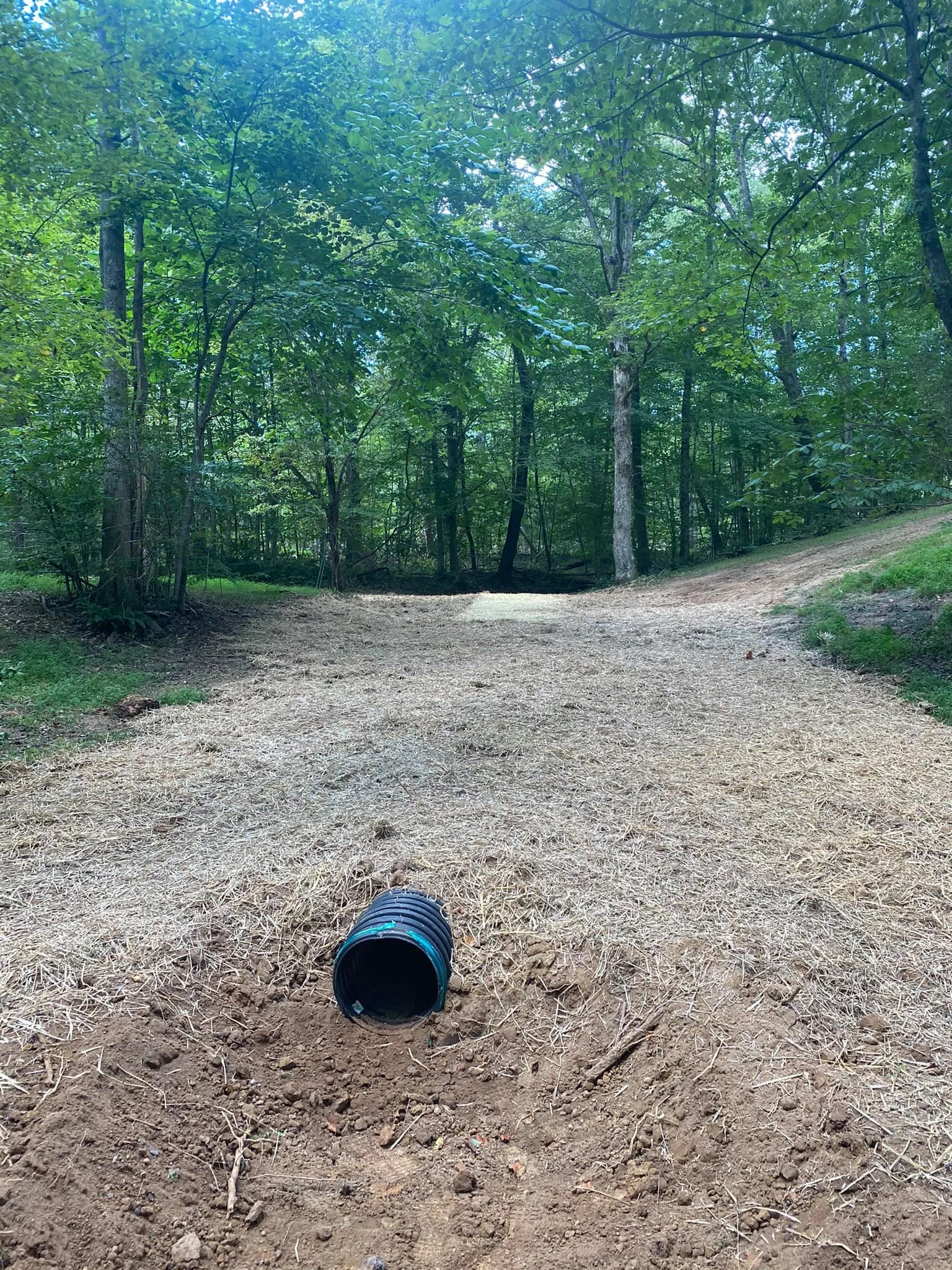 A dirt path through a green forest with trees and leaves on both sides. There is black plastic drainage pipe on the ground in the foreground.