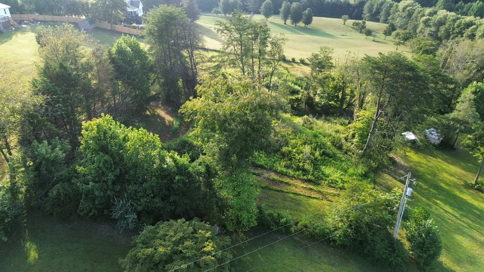 Before land clearing