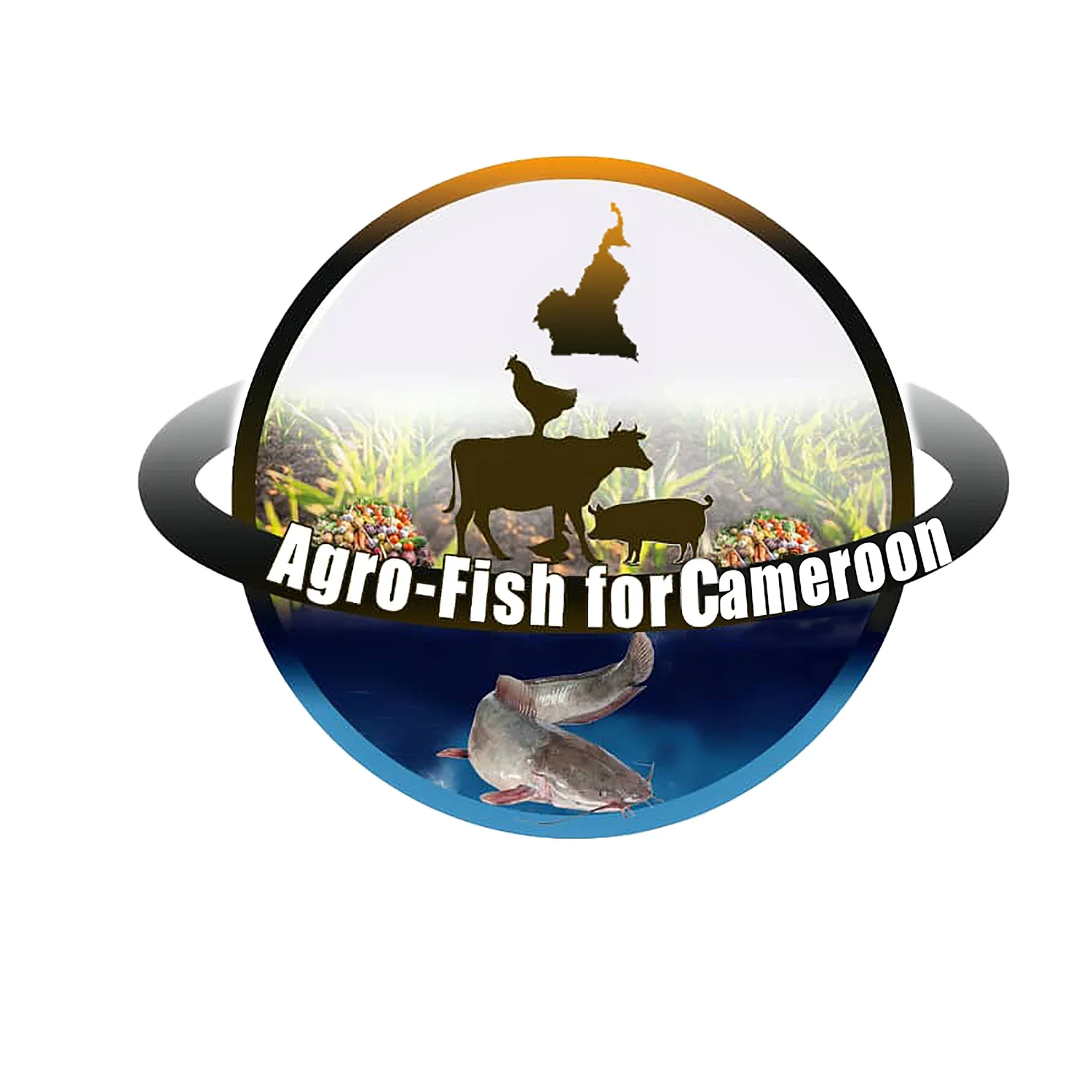 agrofishcamer.com