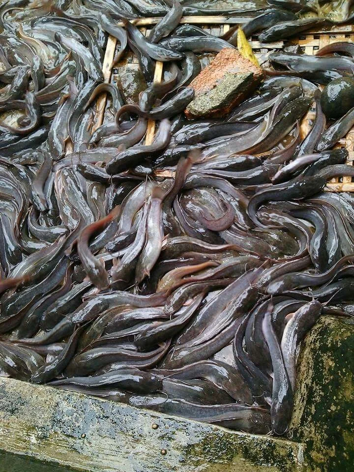 télécharger (76).jfif