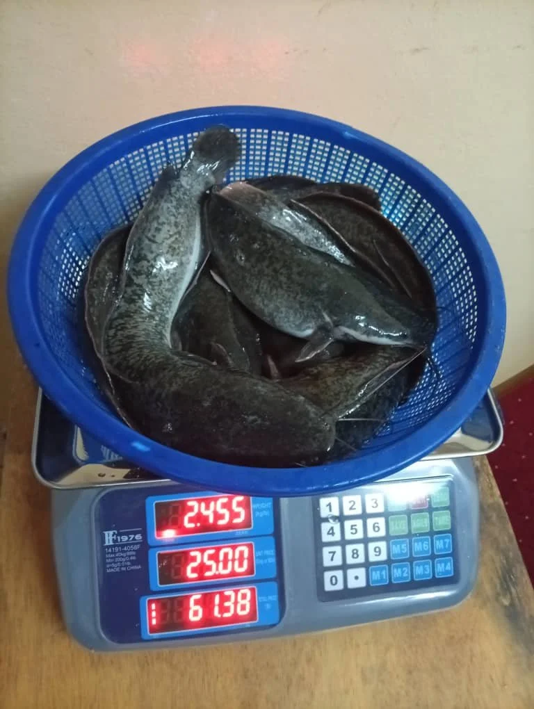 WhatsApp Image 2026-03-07 at 20.04.44 (2).jpeg