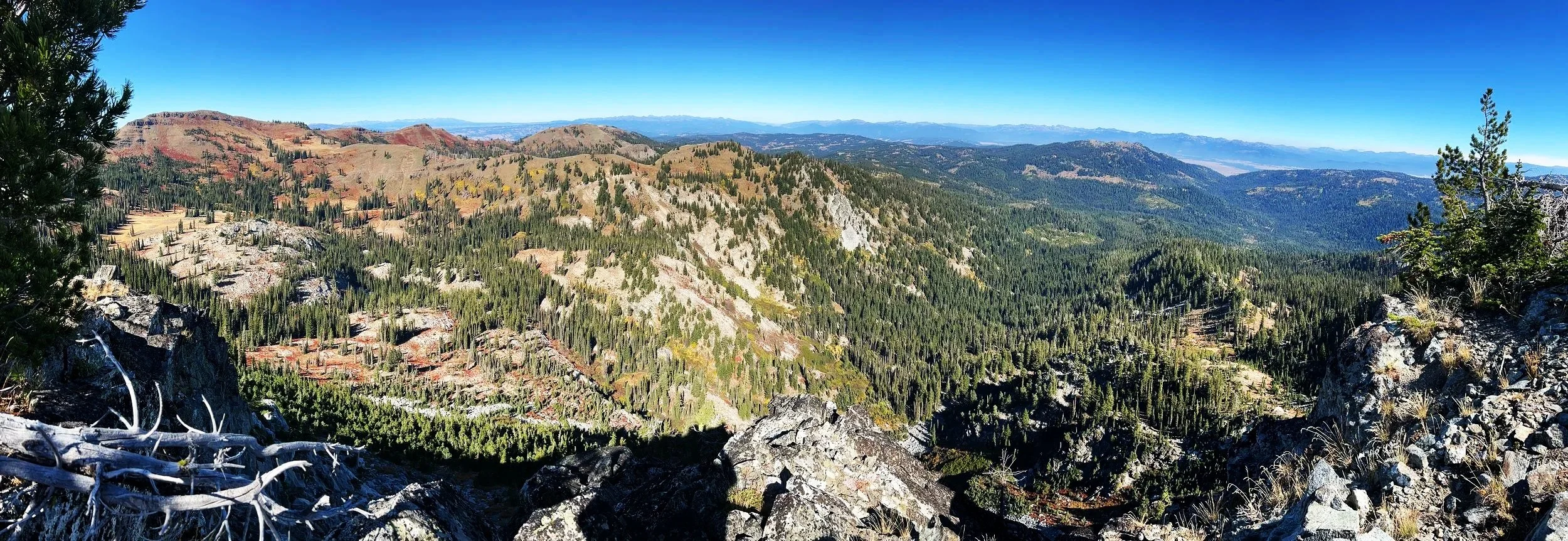 A panoramic view of a mountainous landscape with forested slopes and colorful hills under a clear blue sky.