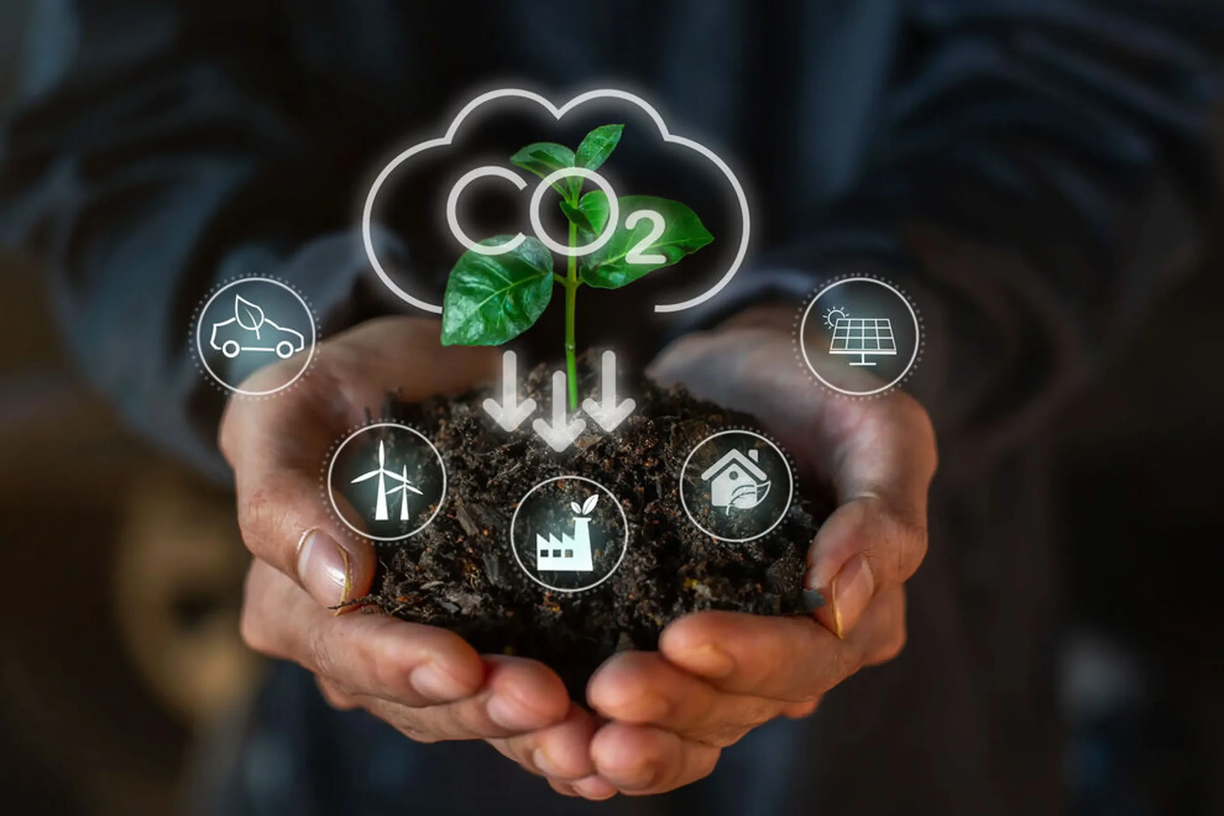 The Net-Zero Lifestyle Blueprint (PDF)