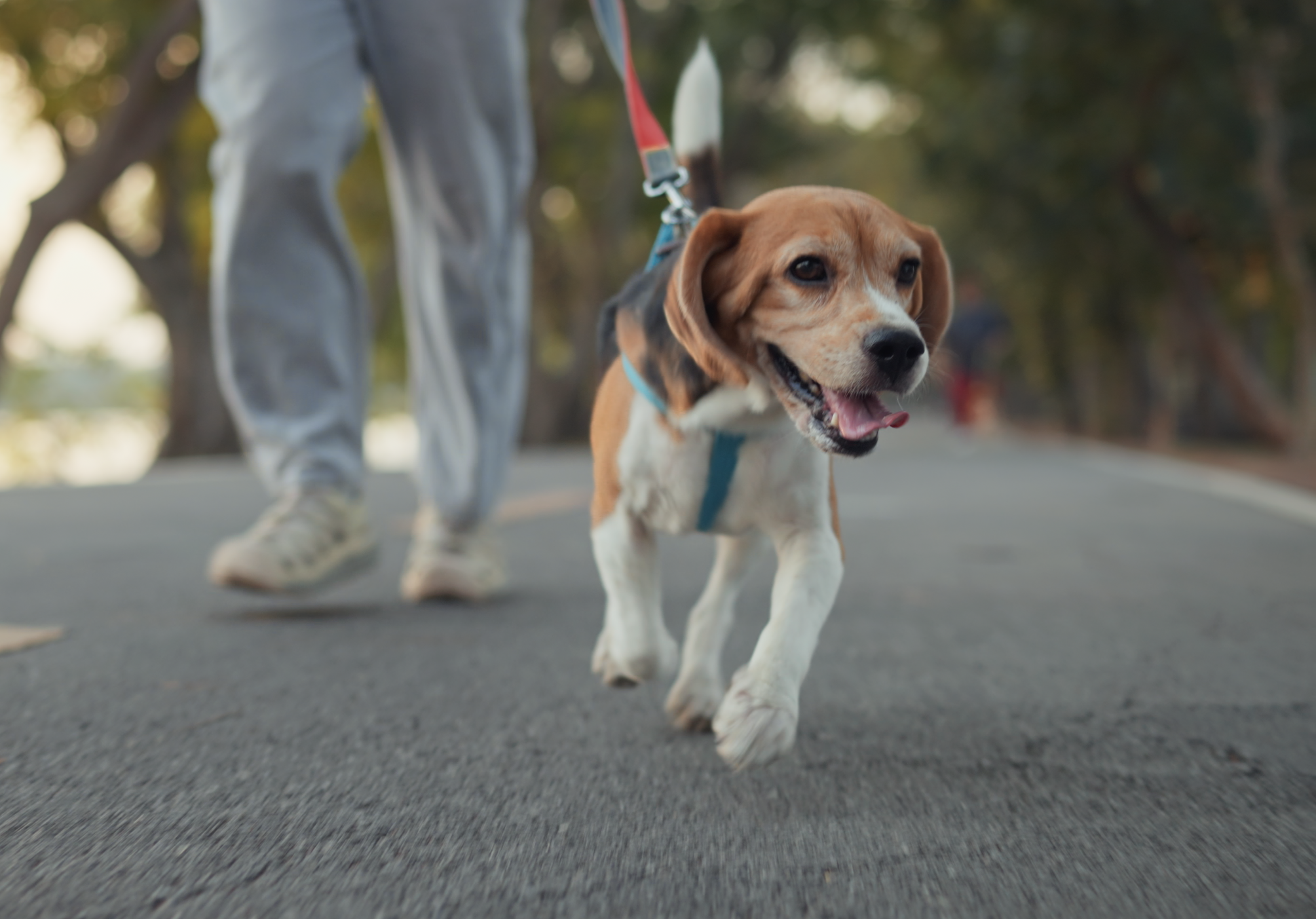 Open iStock-2152463327.png